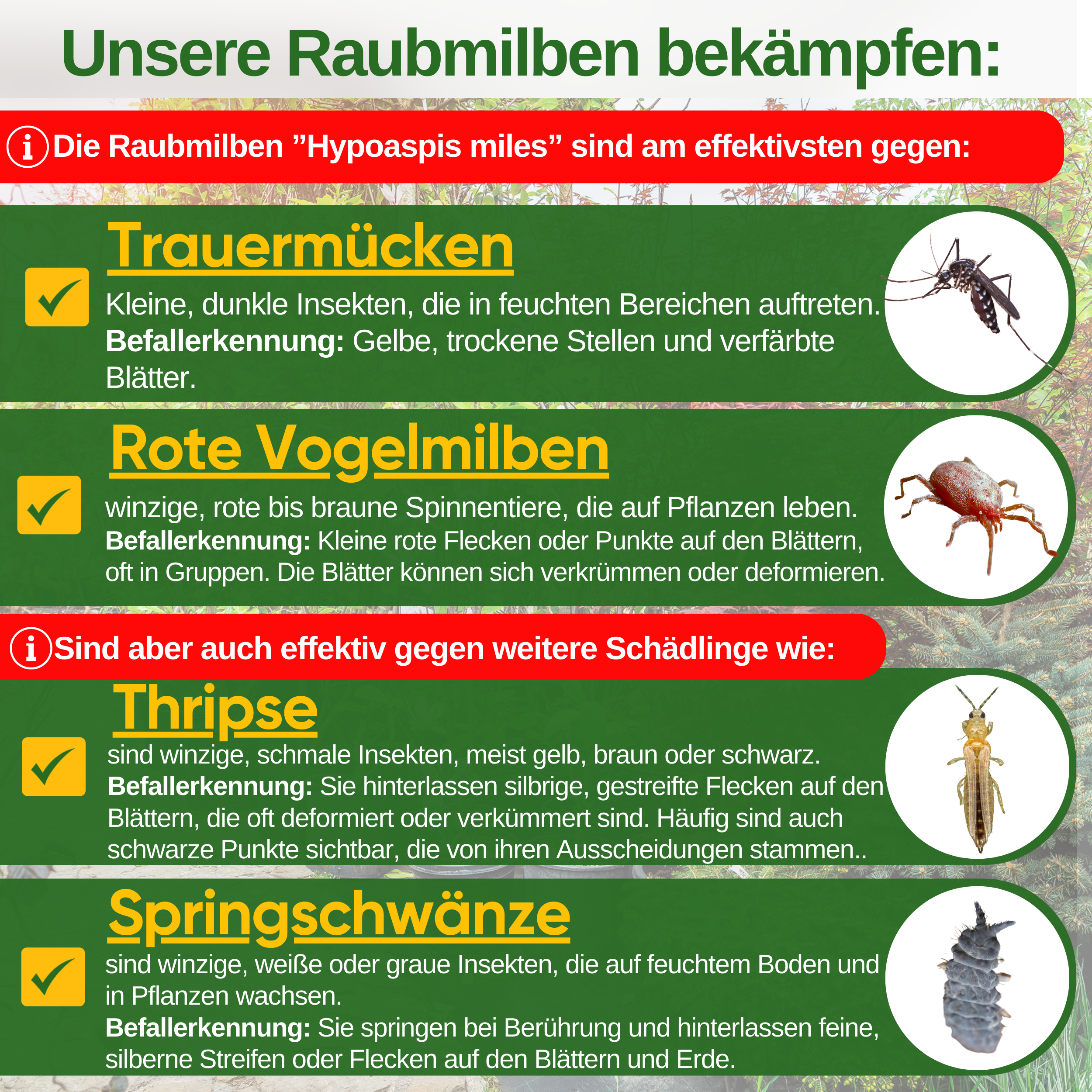 Roofmijtenmix tegen rouwmuggen en rode vogelmijten – los product