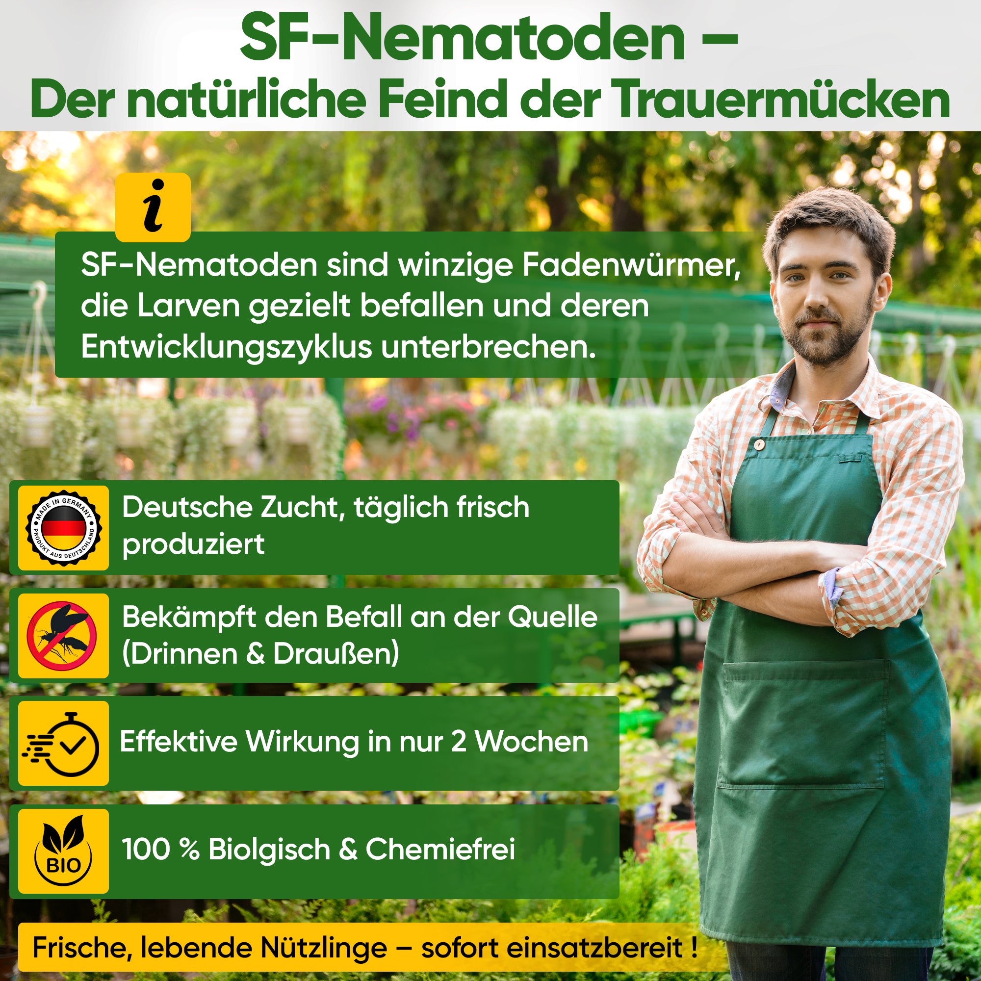 SF-nematoden tegen rouwmuggen, fruitmotten en mieren