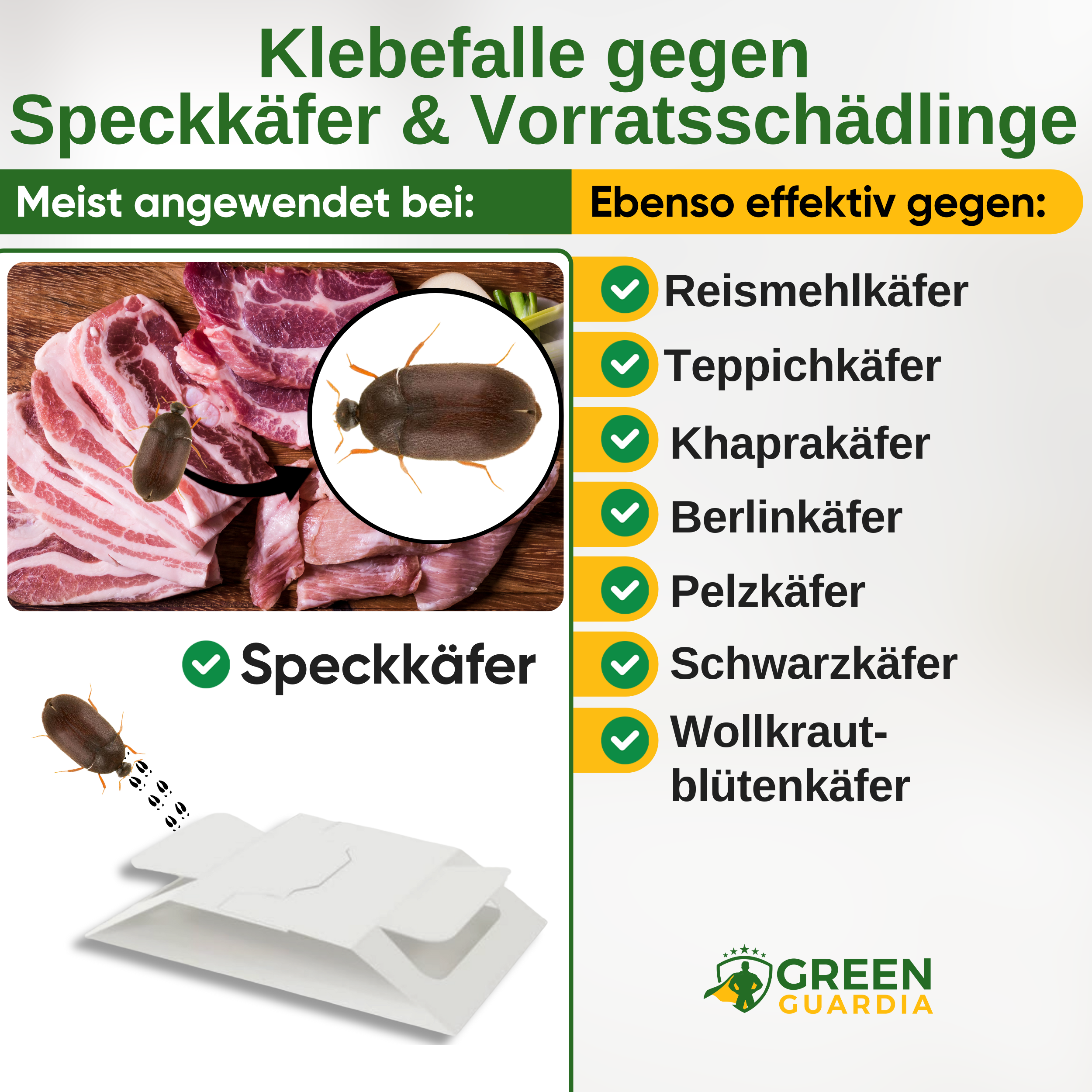 Piège à dermestes du garde-manger avec attractif spécial