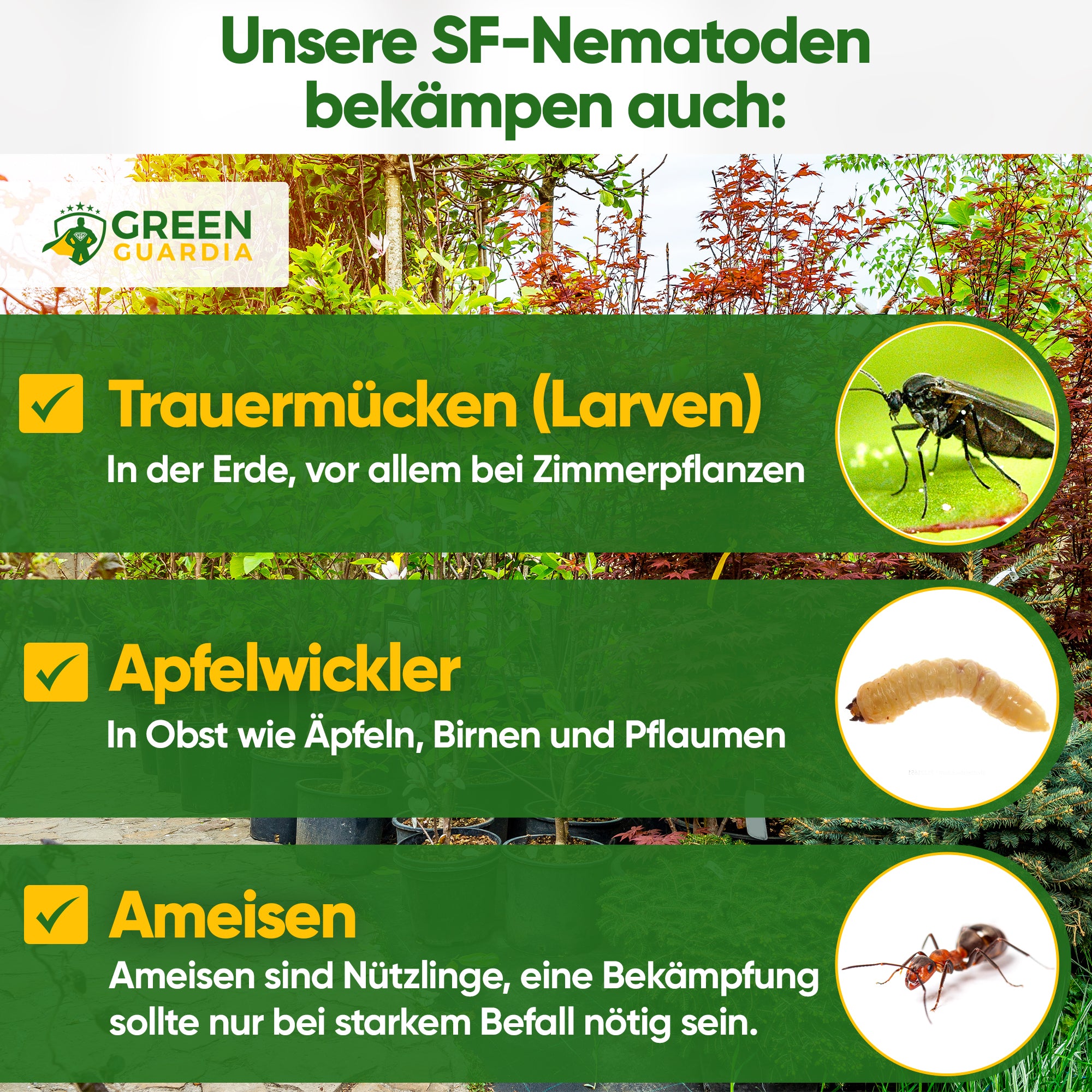 SF-nematoden tegen rouwmuggen, fruitmotten en mieren