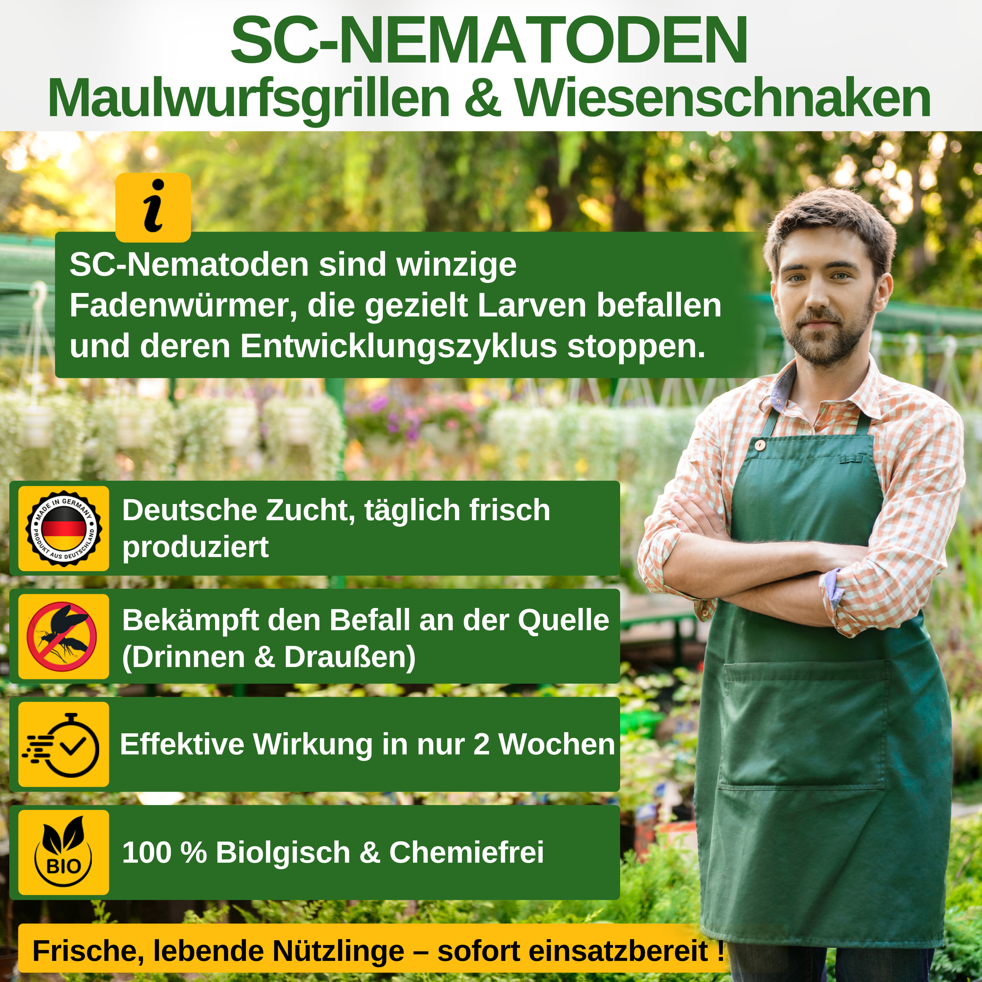 SC-nematoden tegen molkrekels, sprinkhanen en rupsen