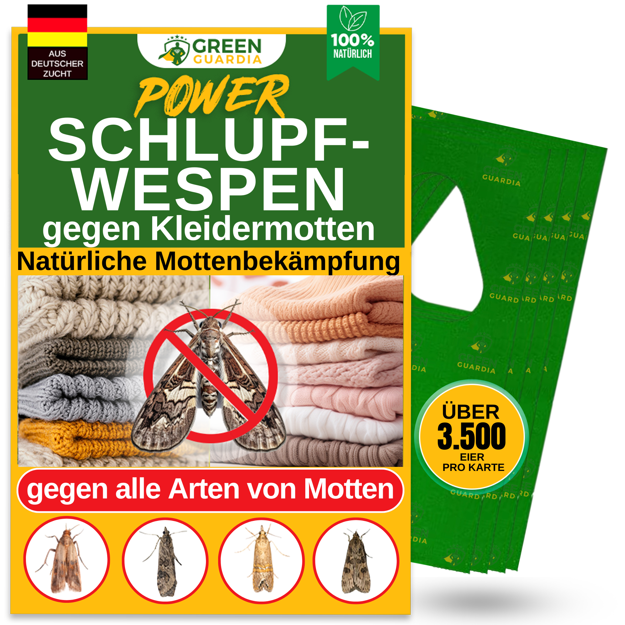 Parasitic wasps against clothes moths
