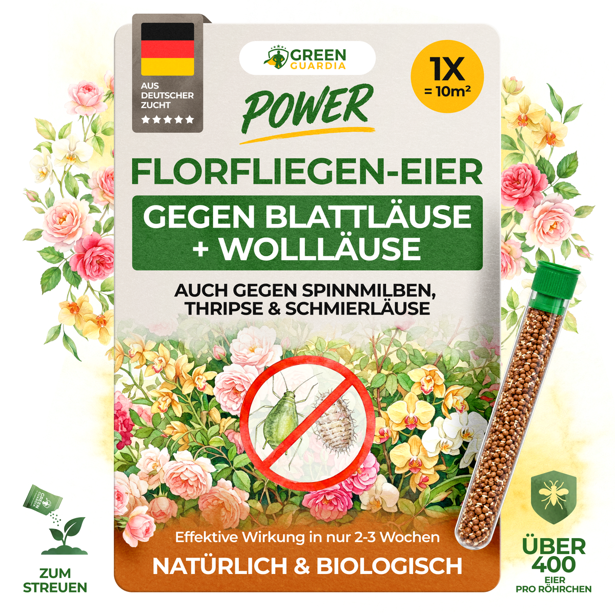Florfliegeneier gegen Blattläuse, Thripse, Spinnmilben und Co. - Green Guardia - Ihr Experte für Schädlinge und Pflanzen