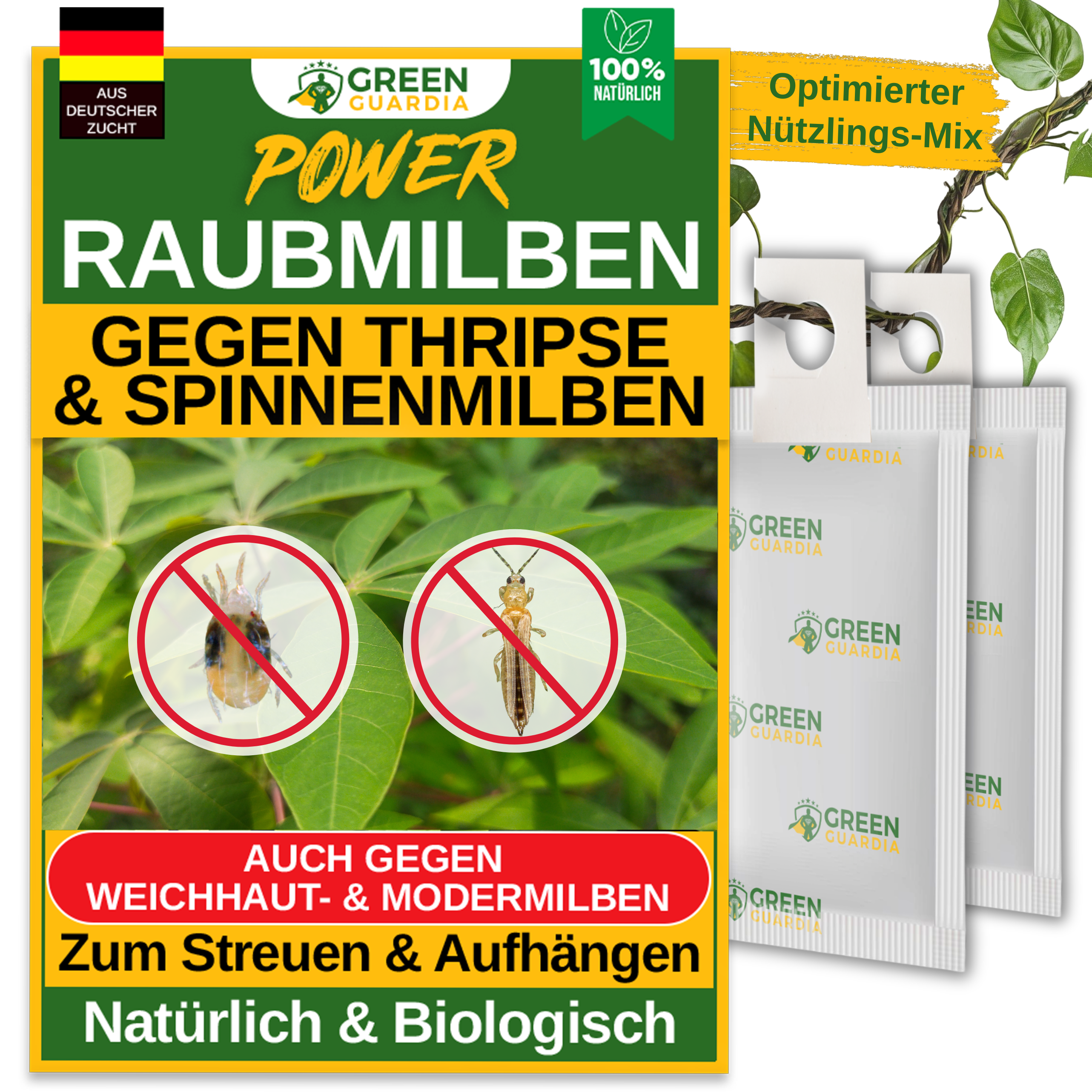 Mélange d'acariens prédateurs contre les thrips et les tétranyques à suspendre ou à disperser 