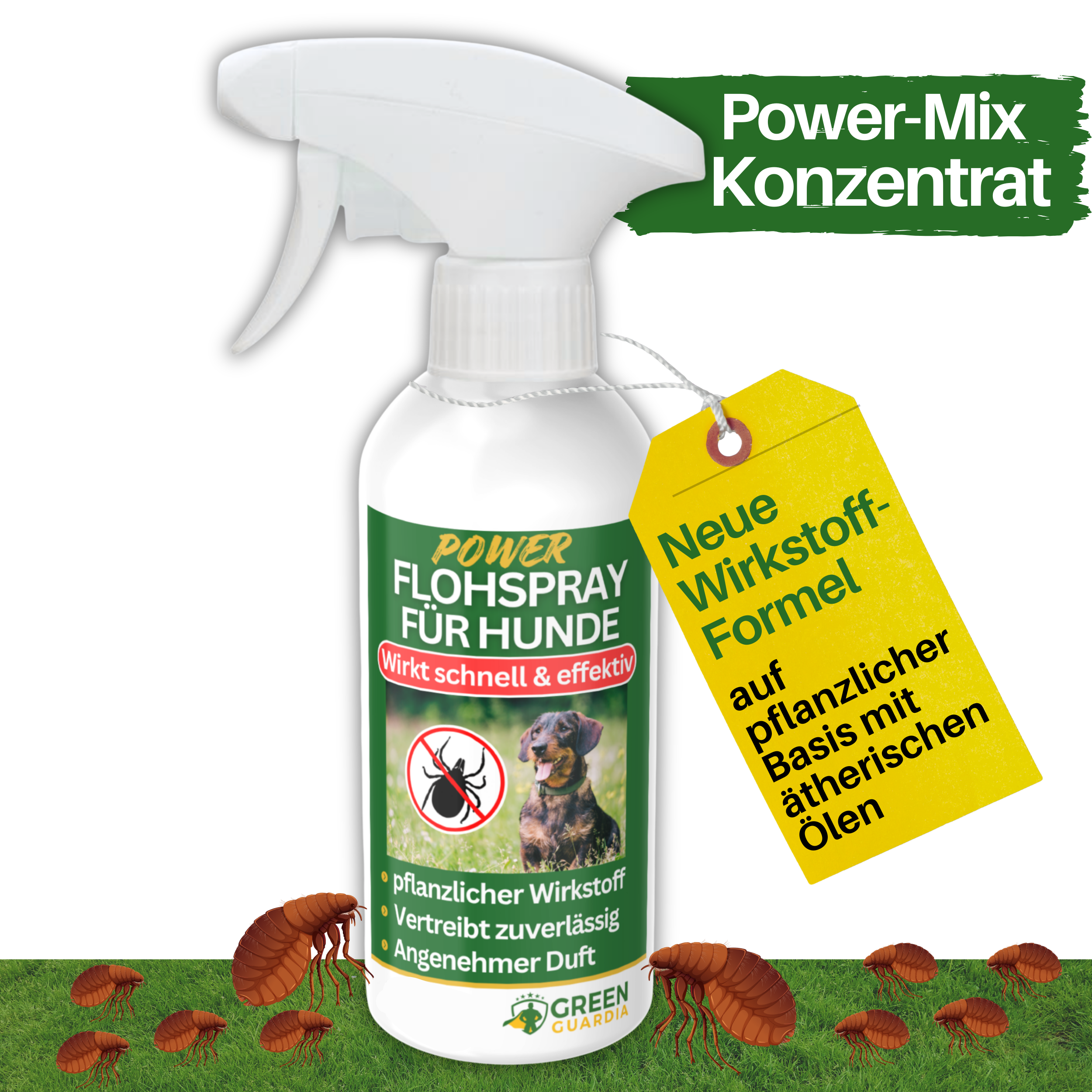 Spray anti-puces concentré pour chiens 