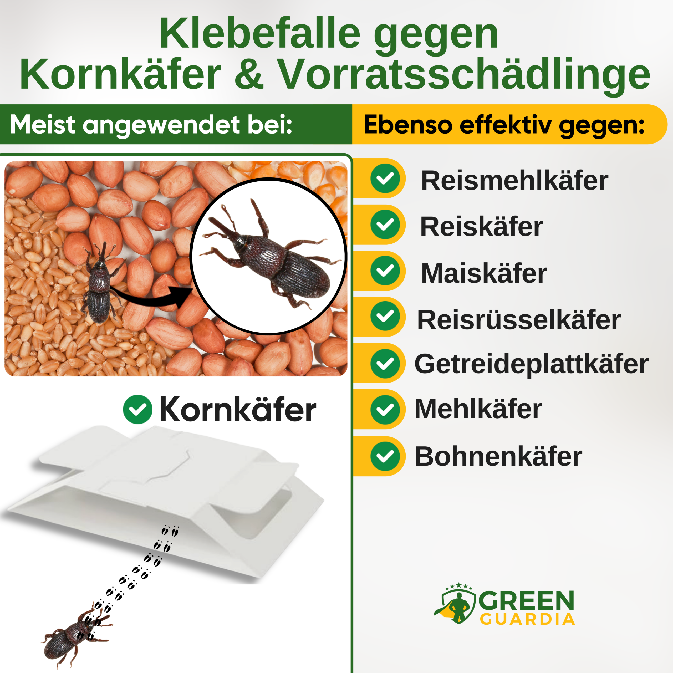 Grain beetle trap with special attractant 
