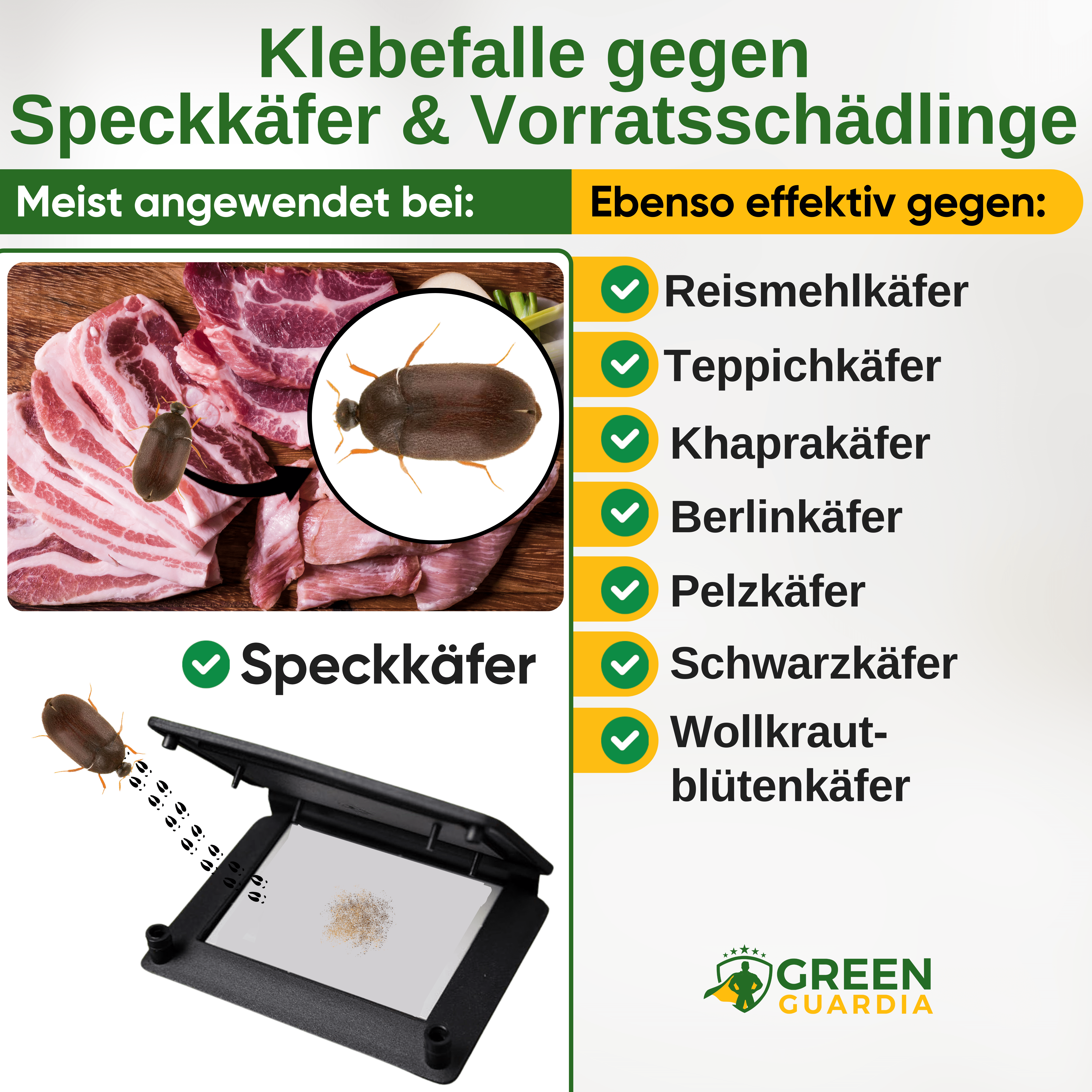 Larder beetle trap with pheromone attractant 