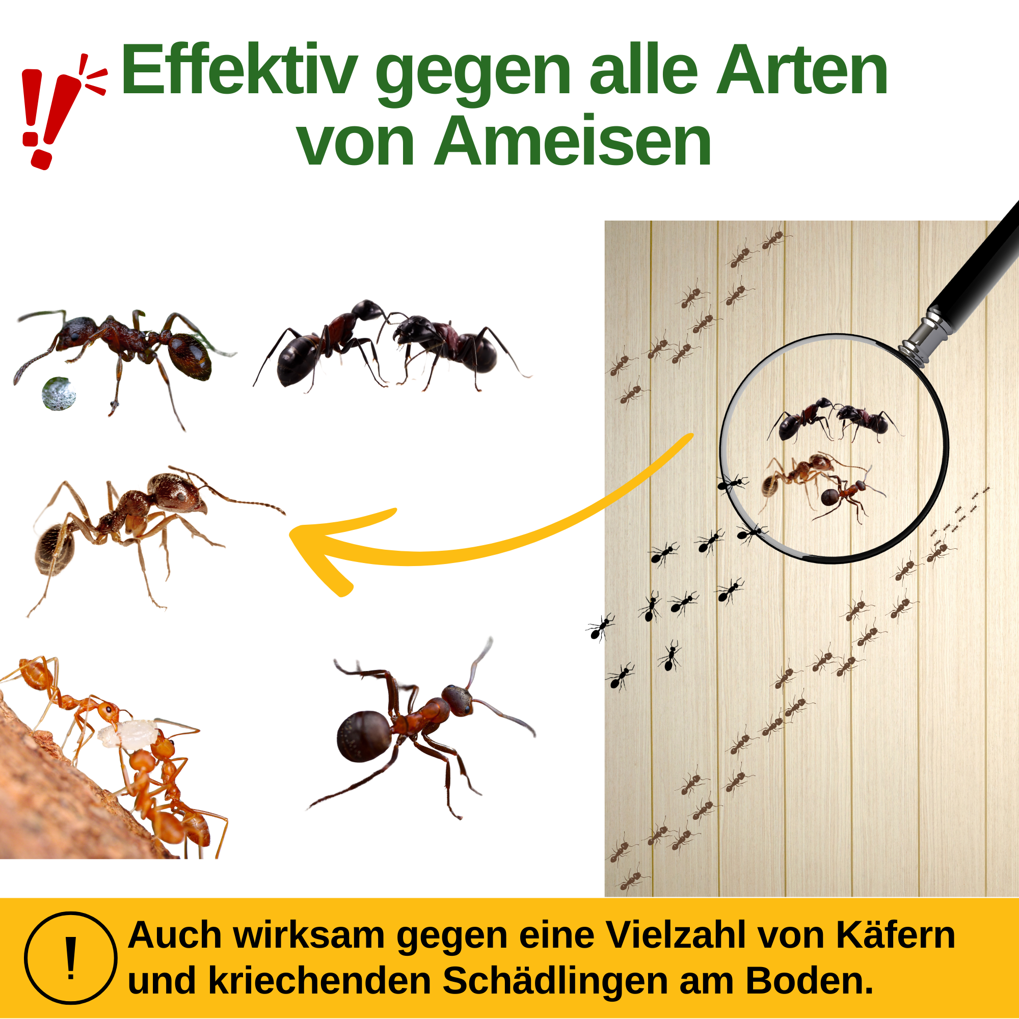 Power Neem Oil Against Ants 