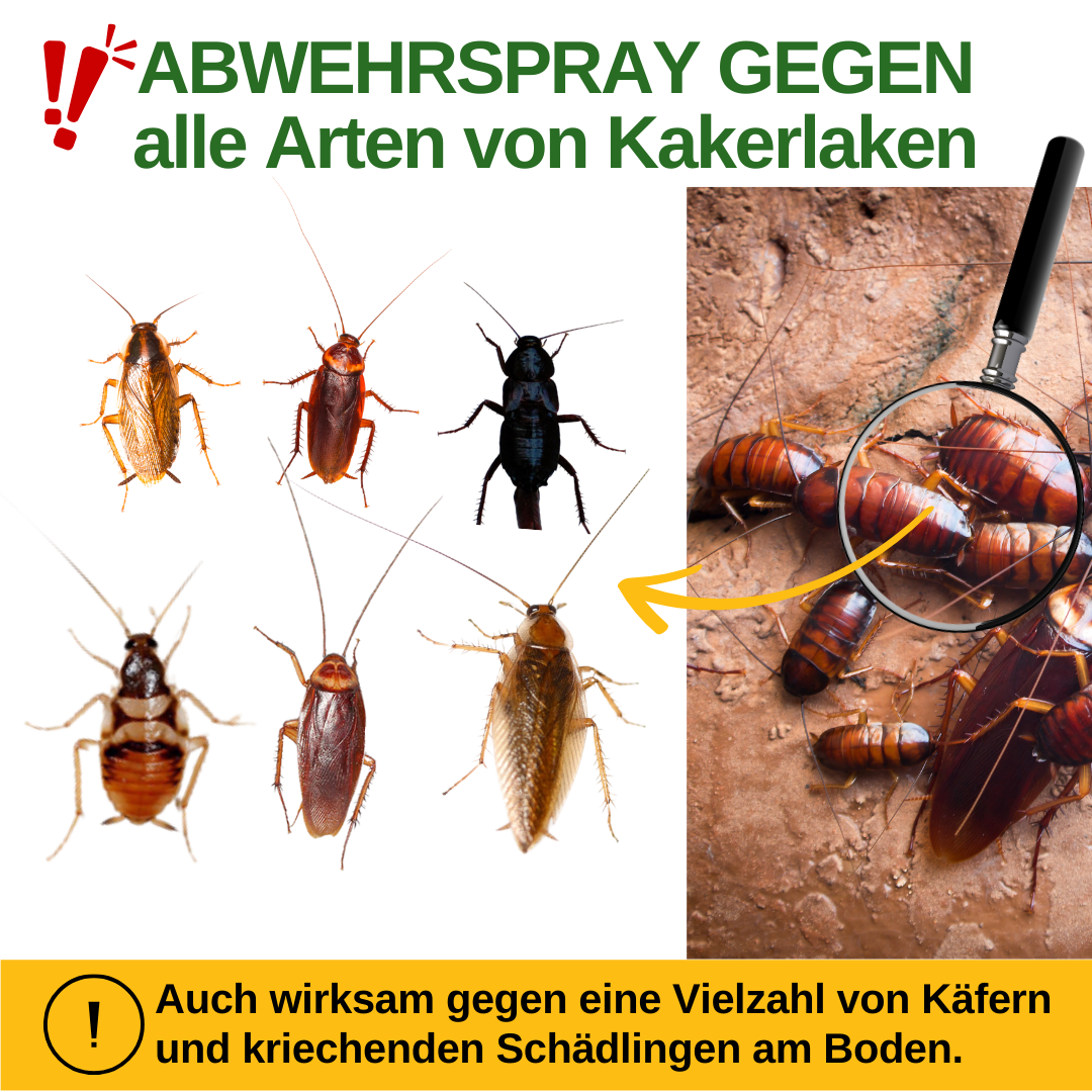 Cockroach Repellent Spray Power Concentrate 