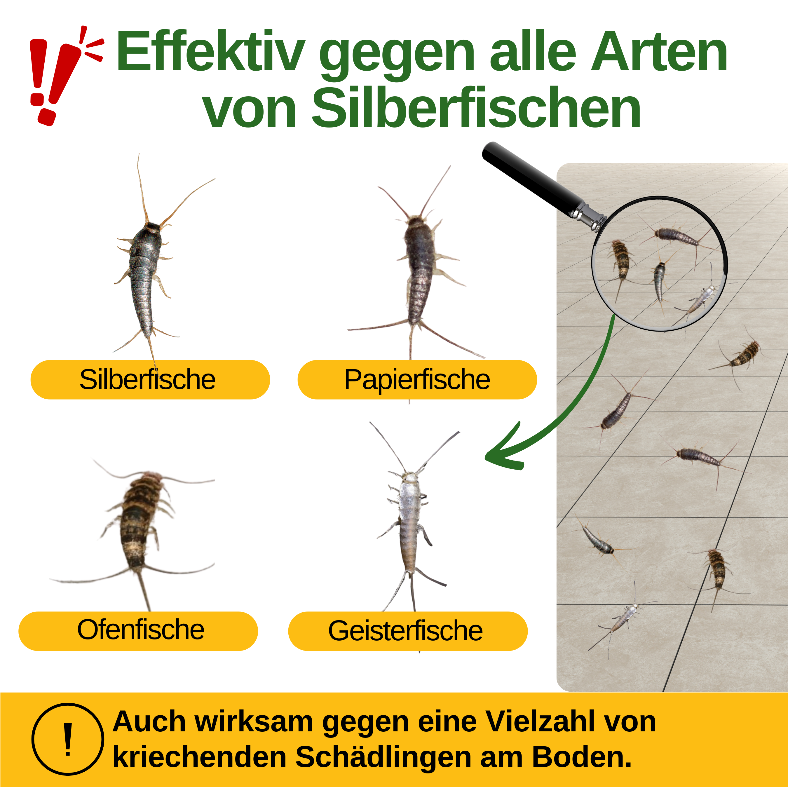 Silverfish trap with pheromone attractant 