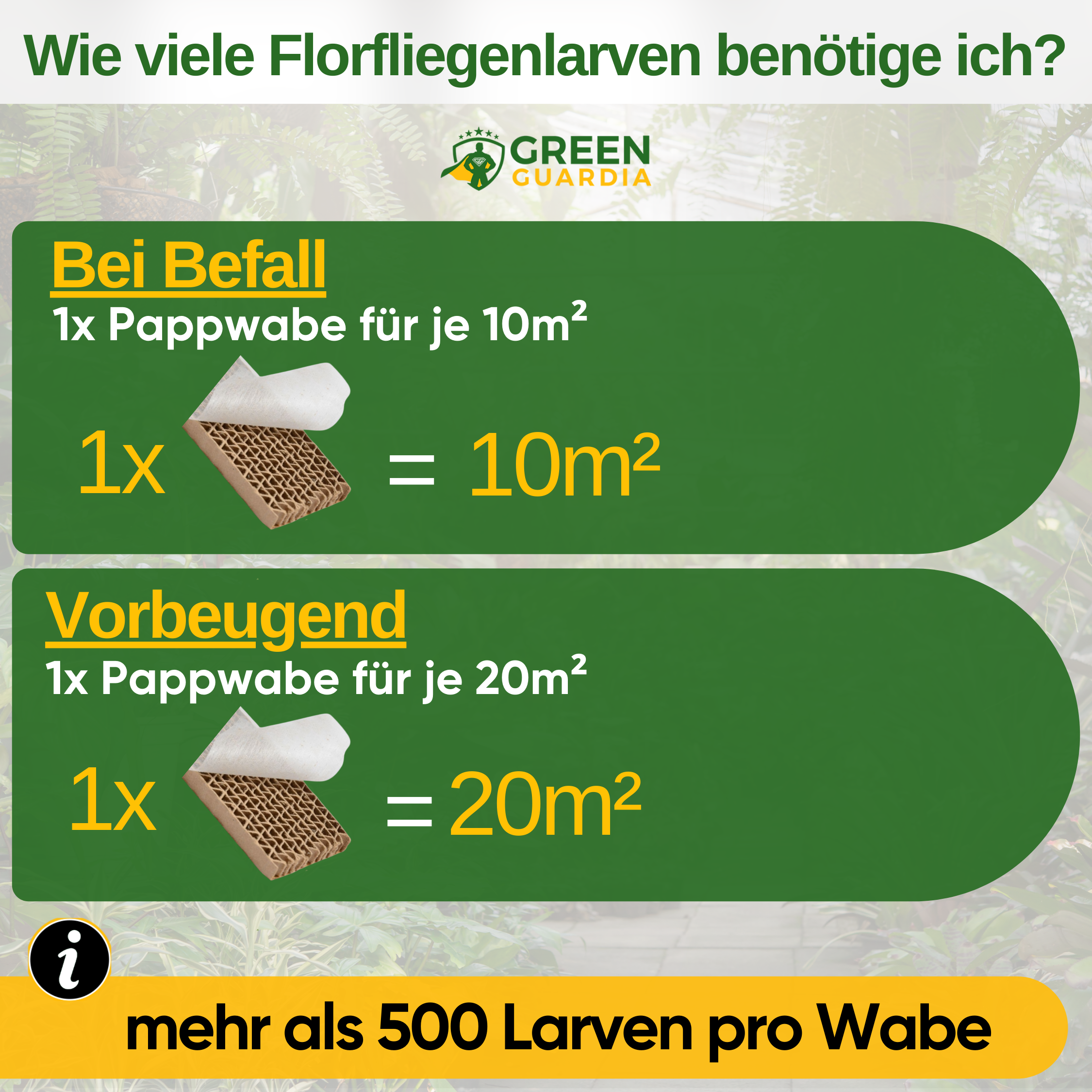 Larves de chrysopes contre les pucerons et les cochenilles 