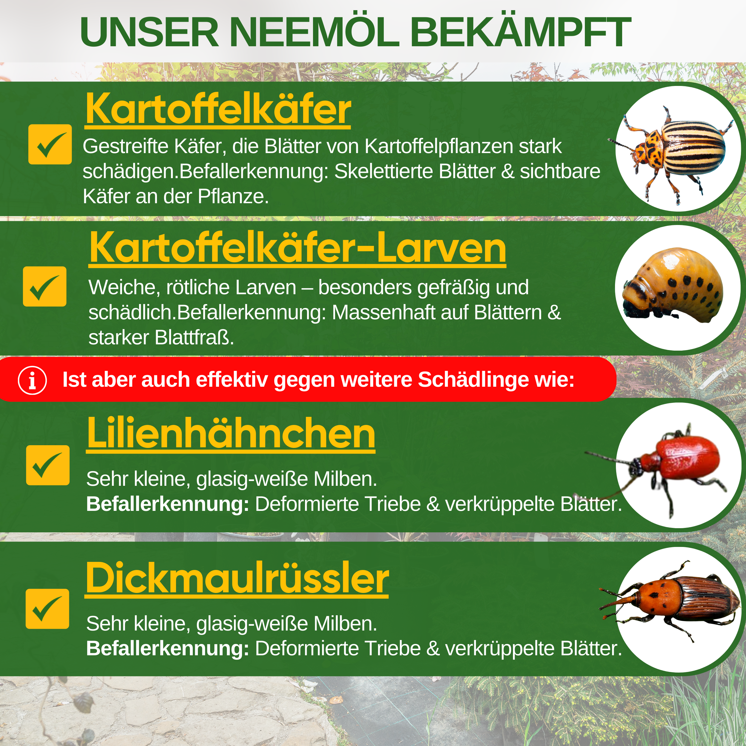 Neemolie tegen Coloradokevers