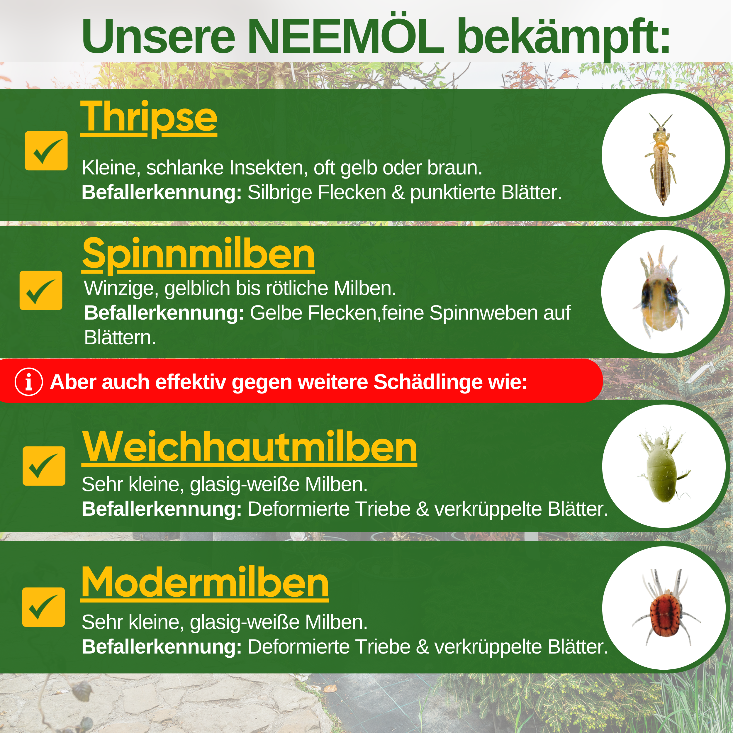 Power Neem Oil against Thrips 