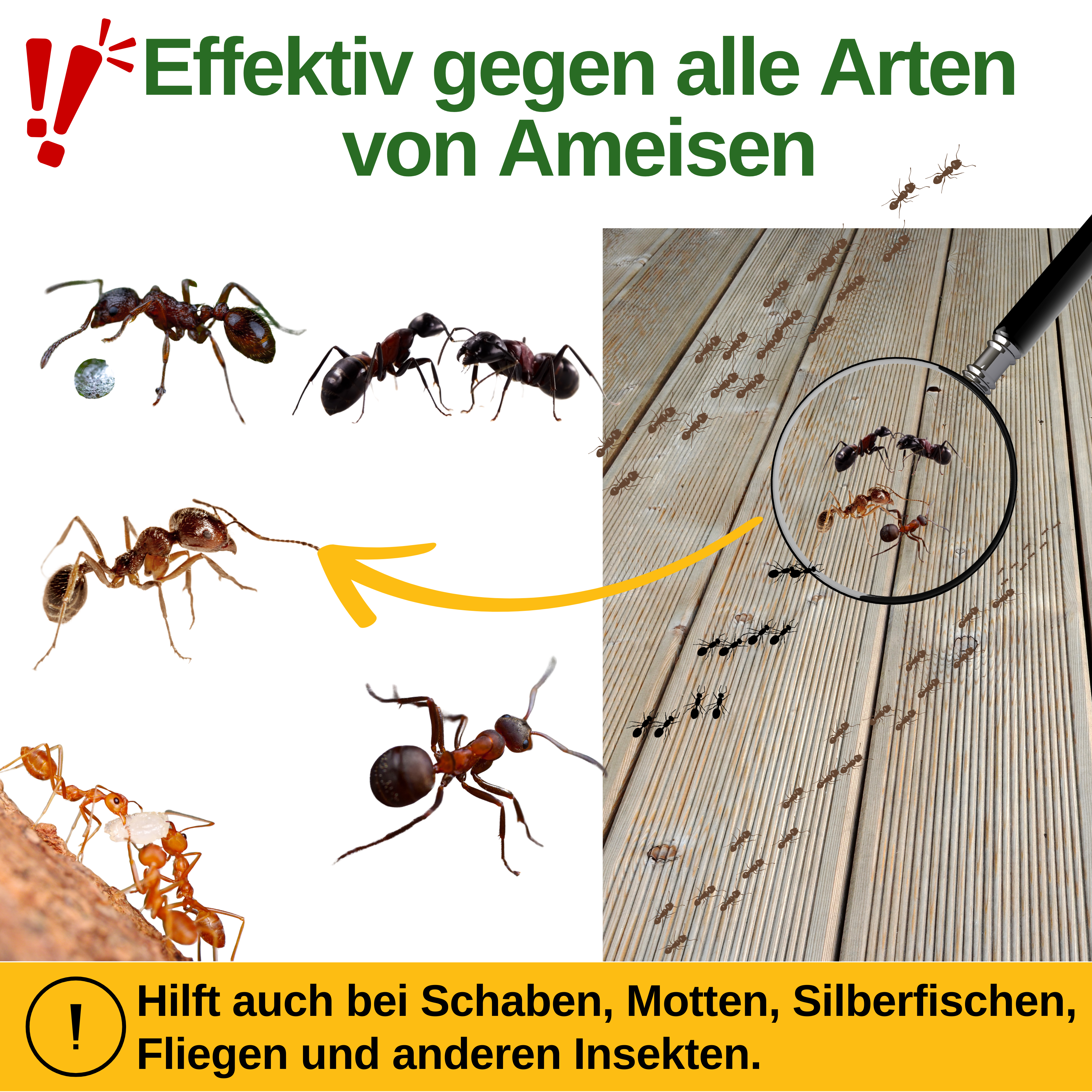 Ant Repellent Spray Power Concentrate 