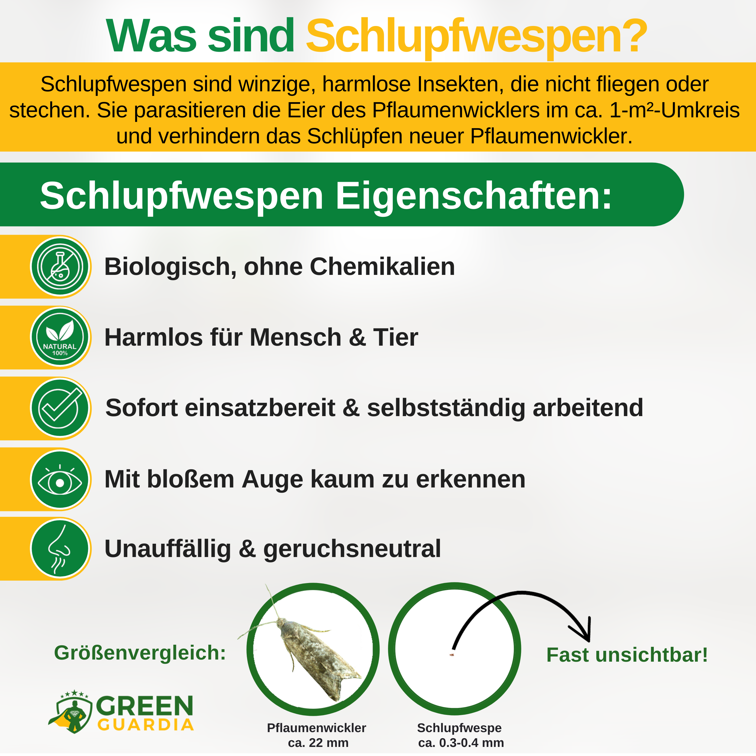 Parasitaire wespen tegen pruimenmotten