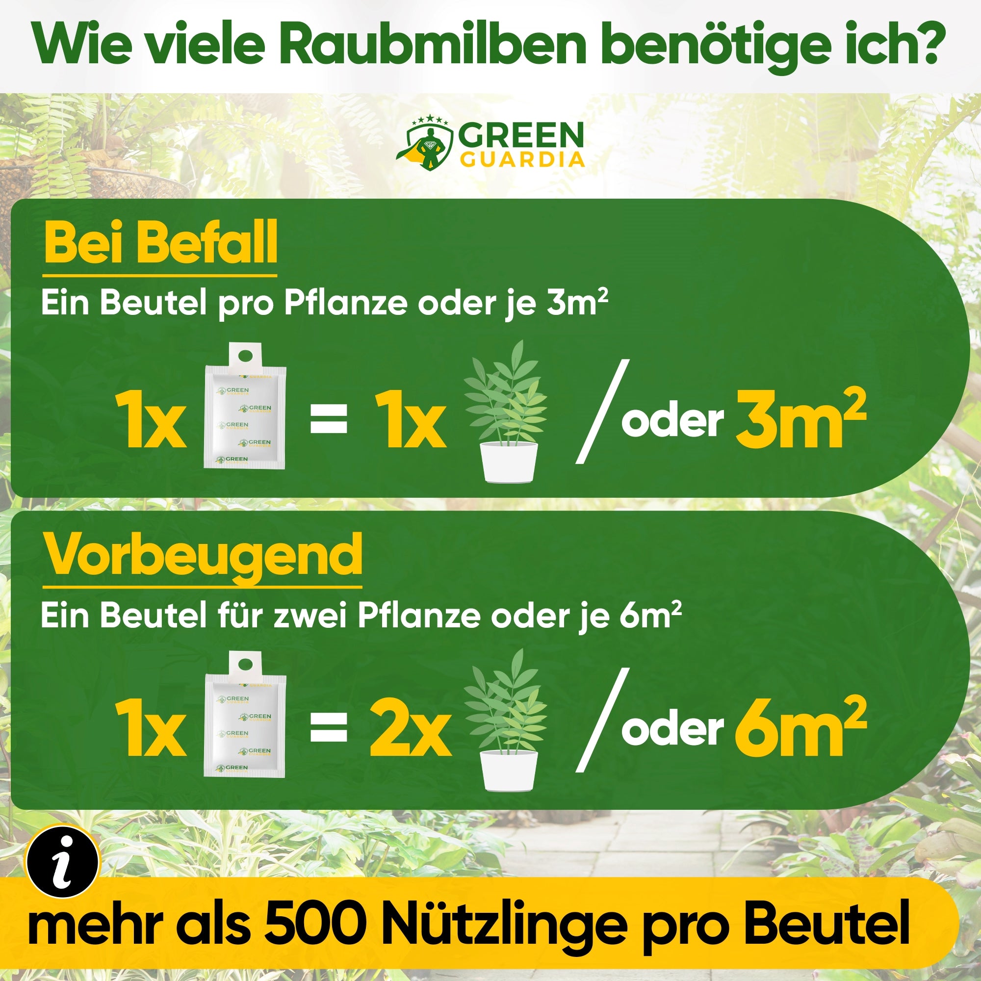 Acariens prédateurs contre les thrips à suspendre ou à disperser 