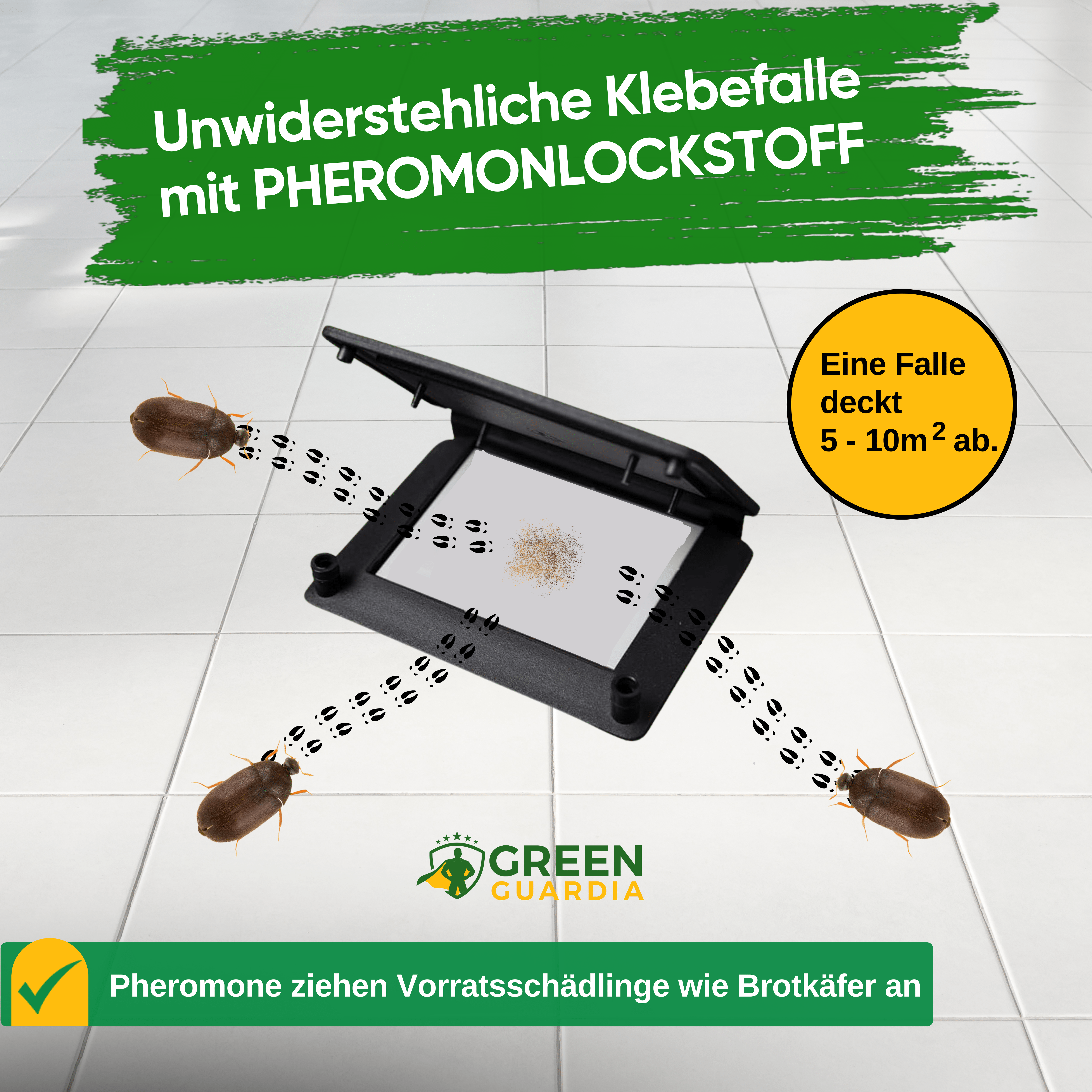 Larder beetle trap with pheromone attractant 