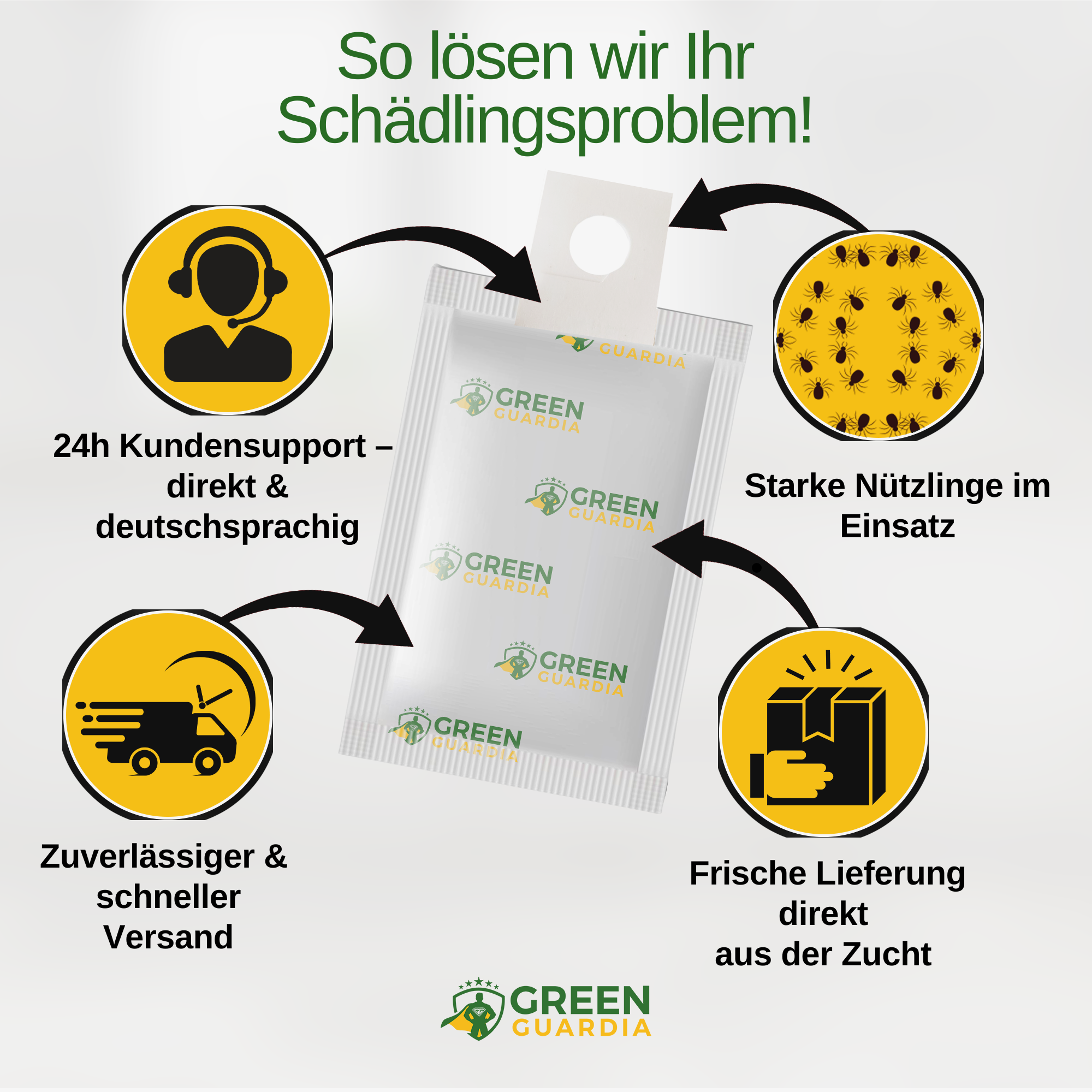 Turbo Raubmilben gegen Thripse, Spinnmilben & Weiße Fliegen