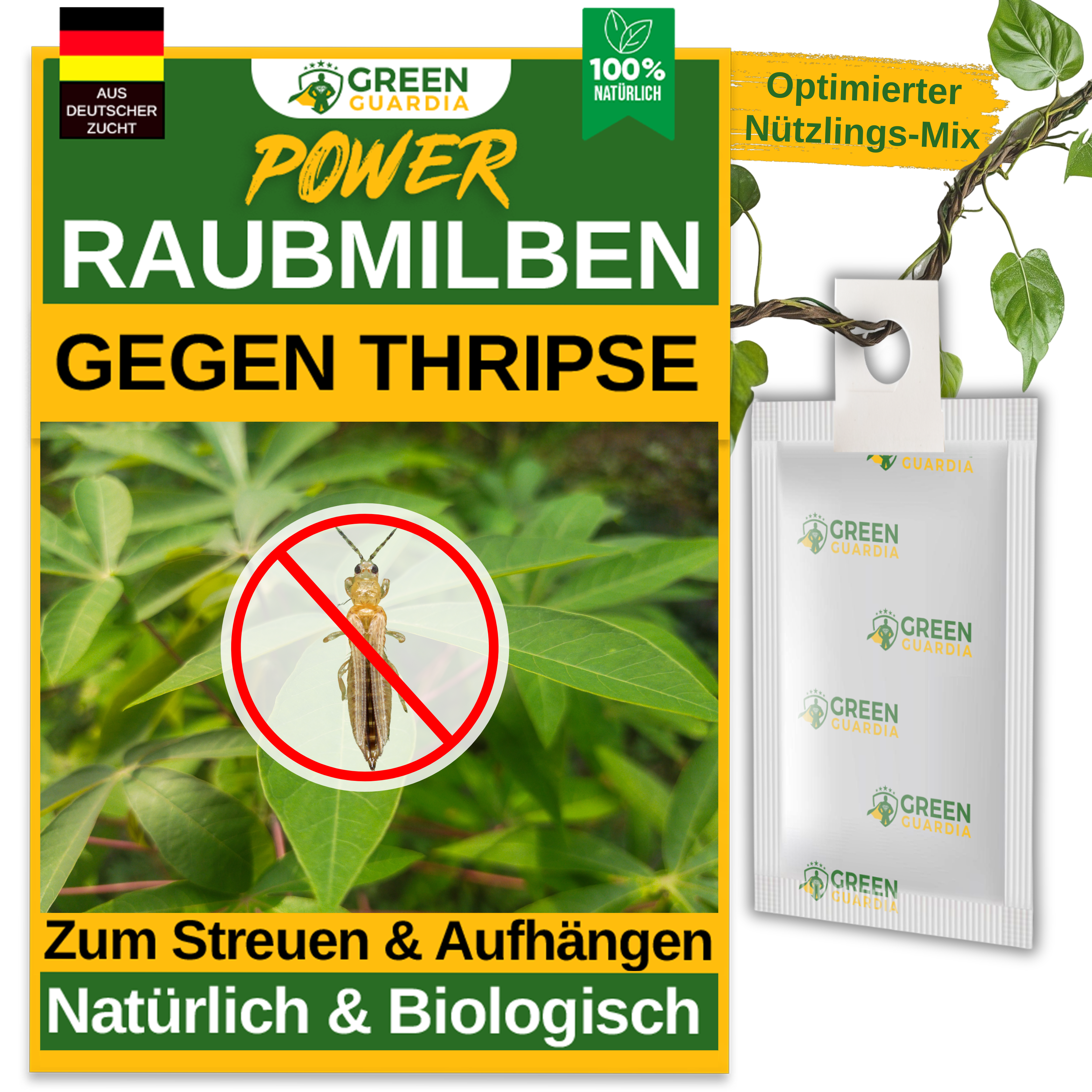 Acariens prédateurs contre les thrips à suspendre ou à disperser 