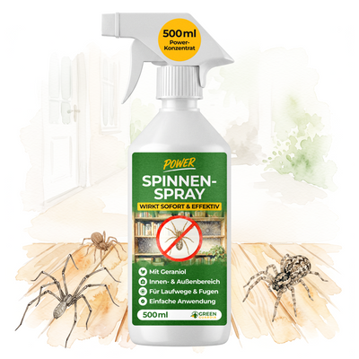 Spray anti-araignées concentré-500 ml