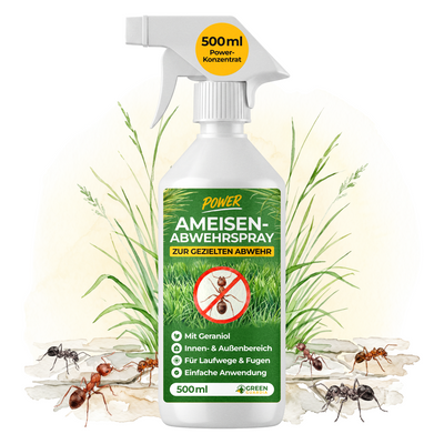 Spray anti-fourmis concentré-500 ml