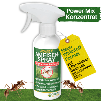 Ameisen Abwehrspray Power - Konzentrat - Green Guardia - Ihr Experte für Schädlinge und Pflanzen