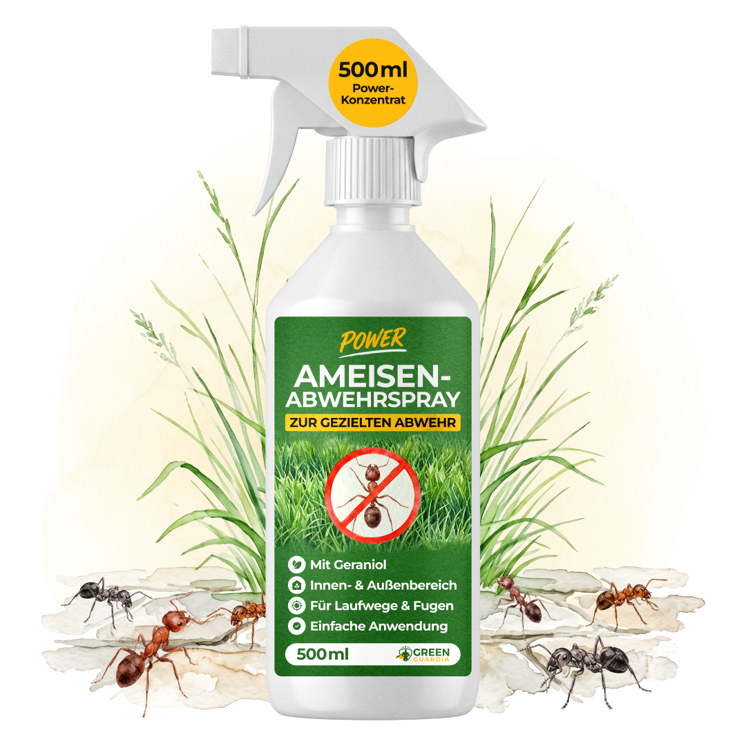 Ant Repellent Spray Power Concentrate - 500ml