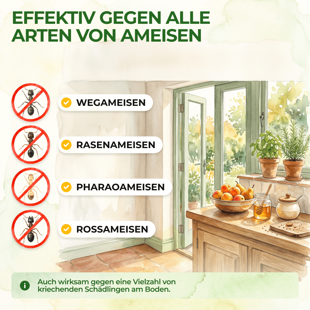 Ameisen Falle - Green Guardia - Ihr Experte für Schädlinge und Pflanzen