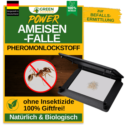 Ameisen Falle mit Pheromon - Lockstoff - Green Guardia - Ihr Experte für Schädlinge und Pflanzen