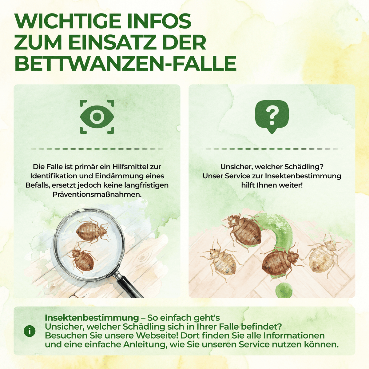 Bettwanzen Falle - Green Guardia - Ihr Experte für Schädlinge und Pflanzen