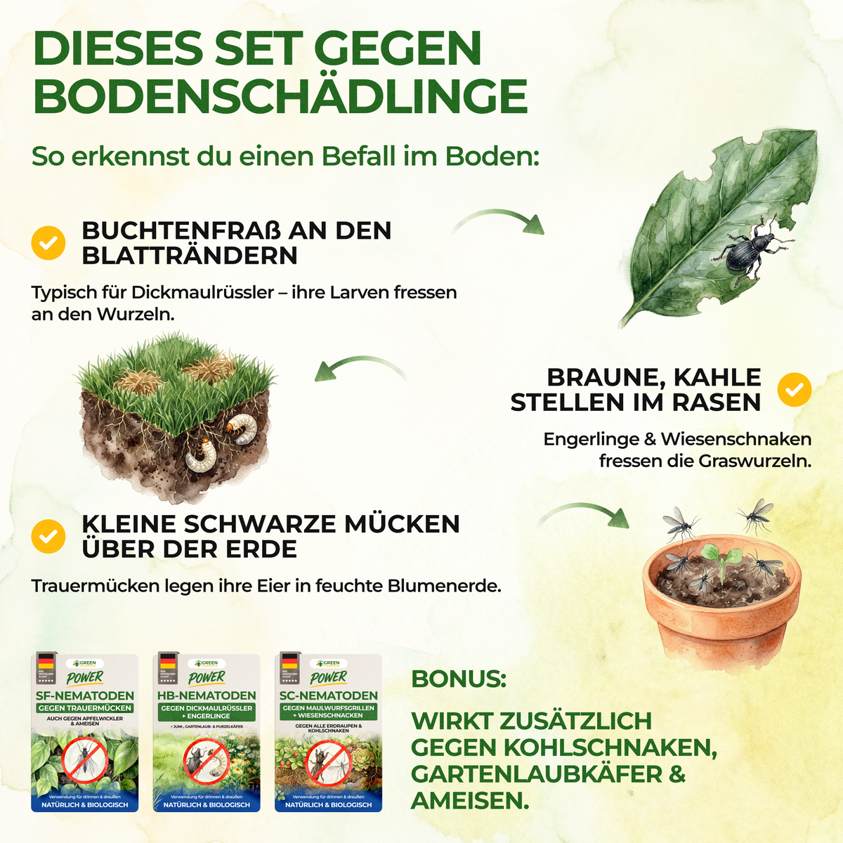 Kit de nématodes contre les nuisibles du sol