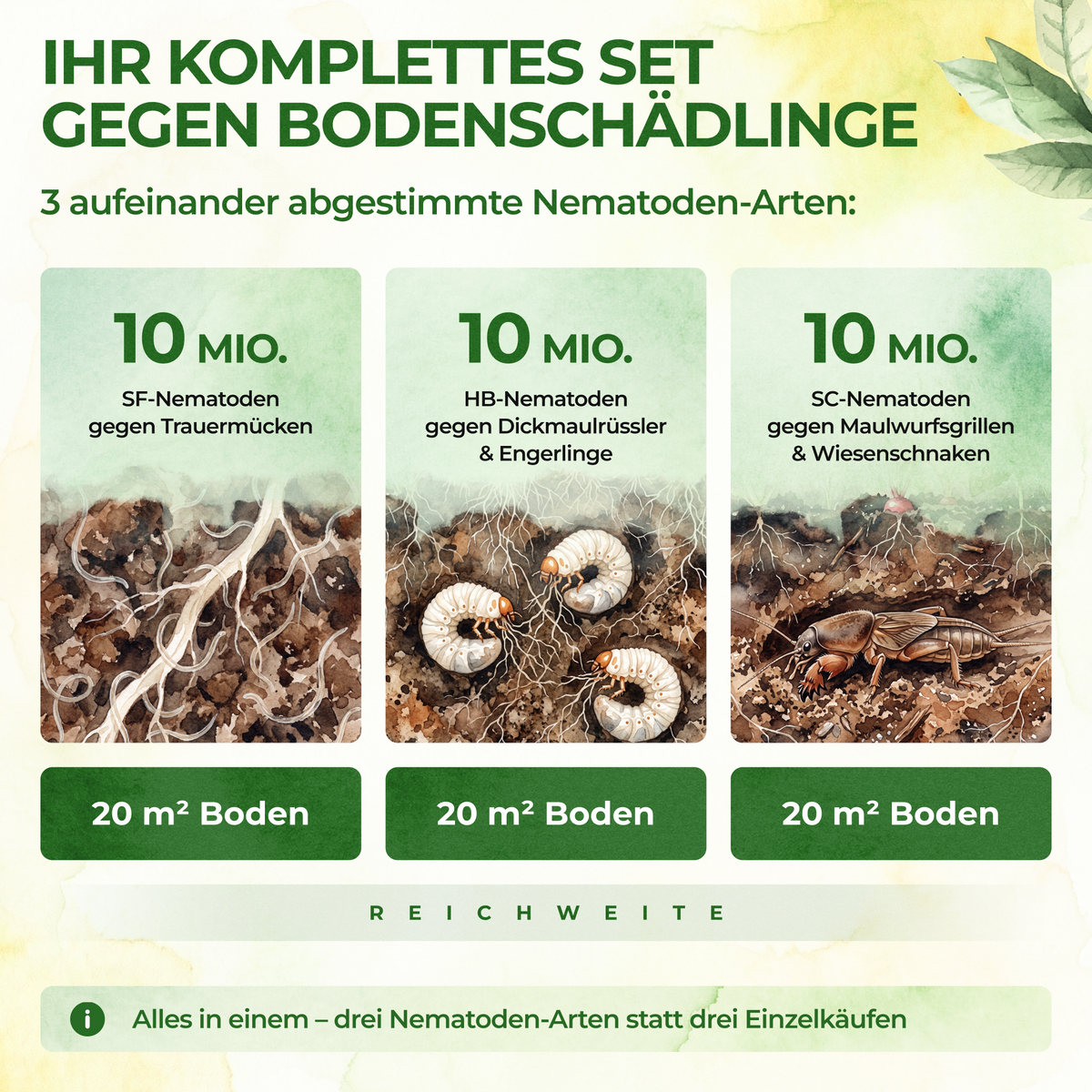 Kit de nématodes contre les nuisibles du sol