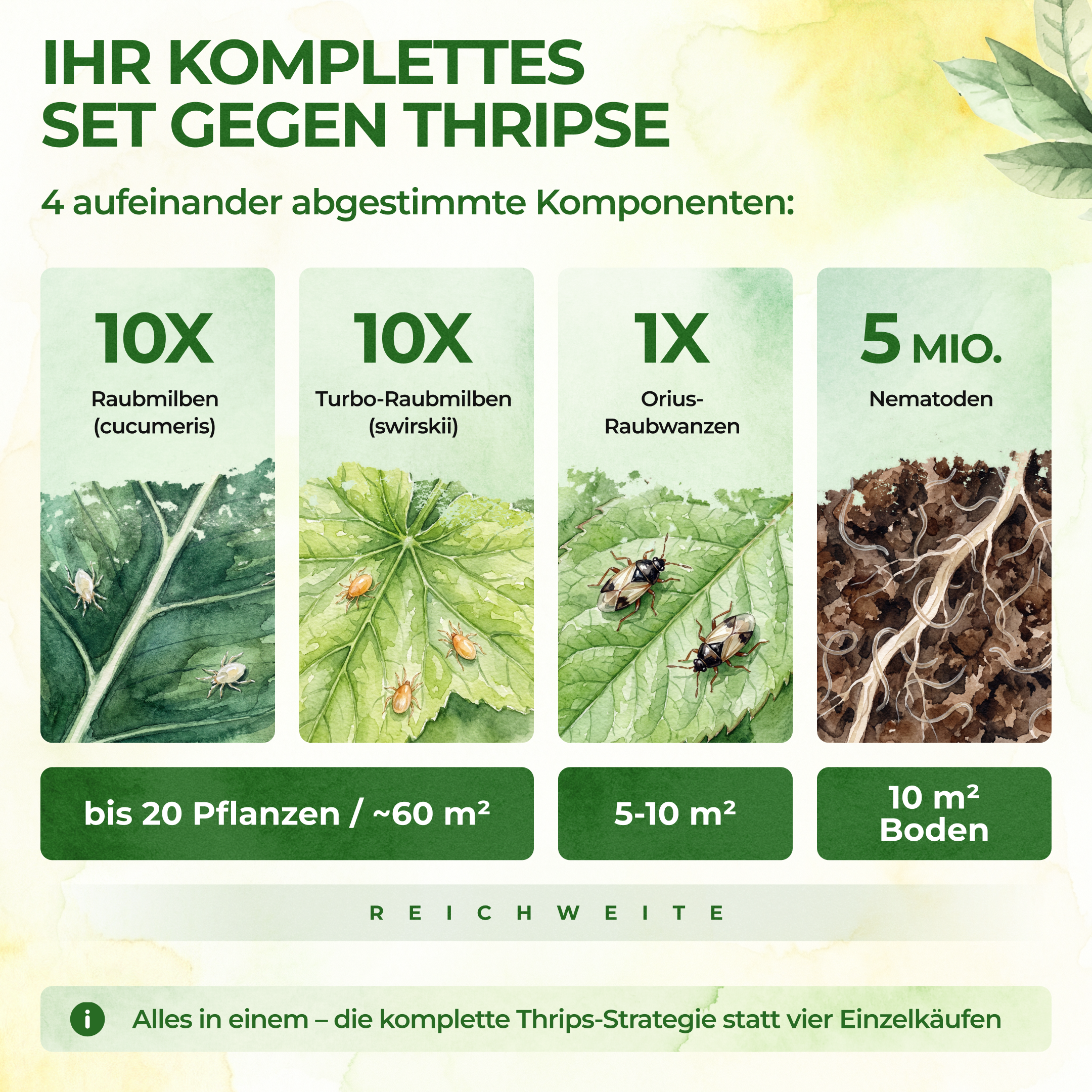 Thripse-Frei Bundle zur Soforthilfe