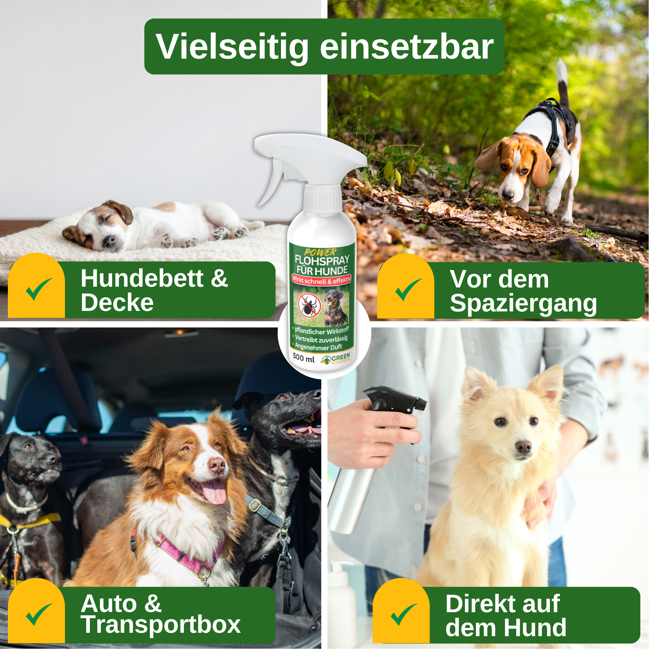 Flöhe Abwehrspray Power - Konzentrat für Hunde - Green Guardia - Ihr Experte für Schädlinge und Pflanzen