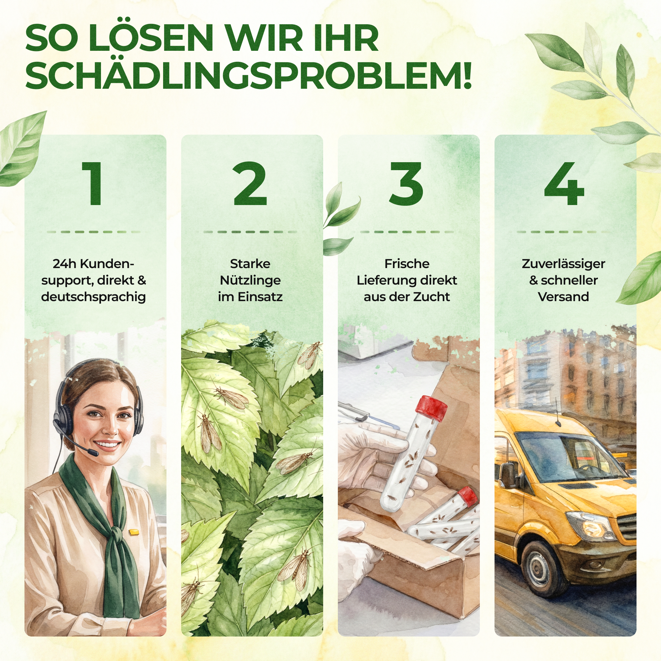 Florfliegeneier gegen Blattläuse, Thripse, Spinnmilben und Co.