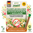 Œufs de chrysopes contre les pucerons, thrips, acariens et autres nuisibles.