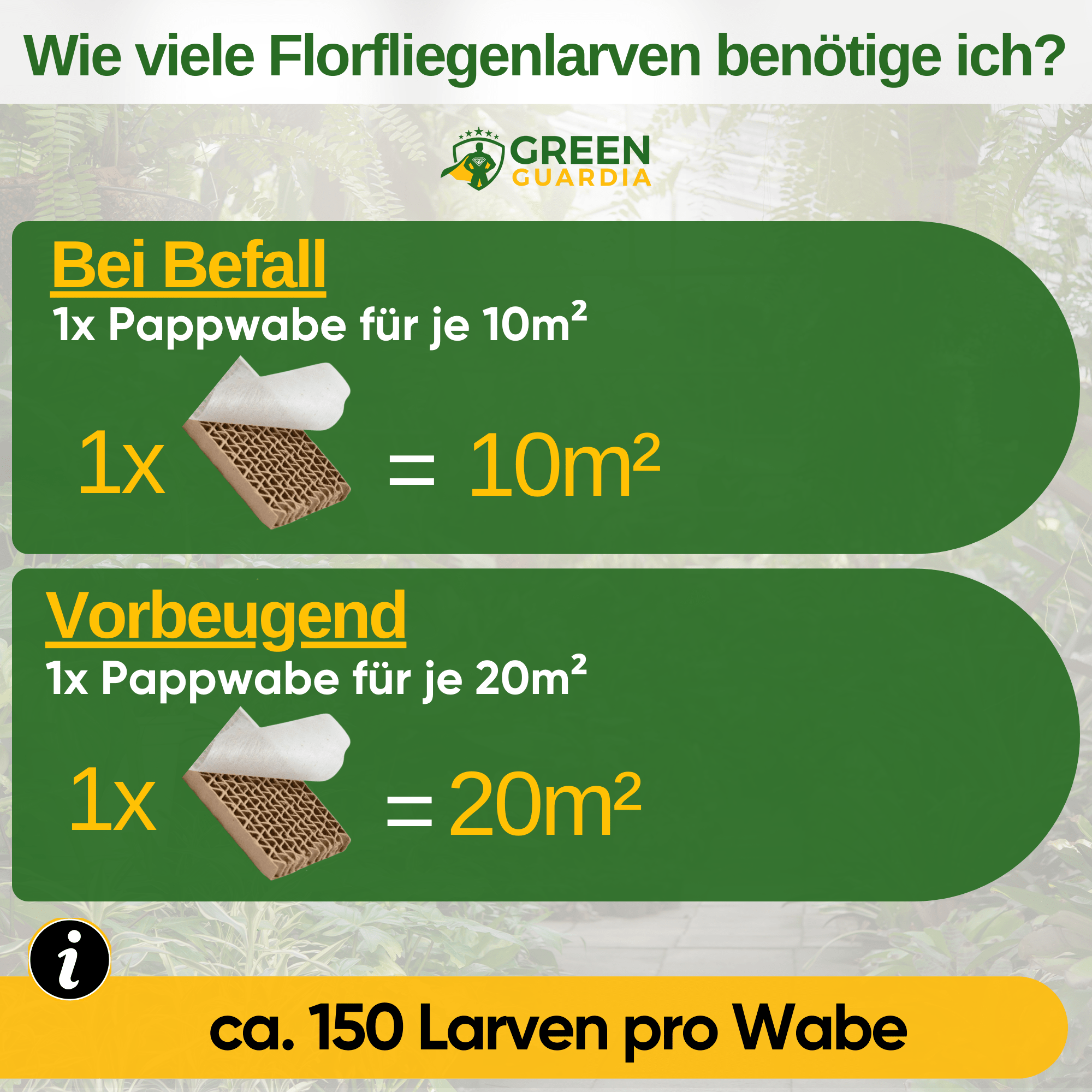 Florfliegenlarven gegen Blattläuse und Wollläuse - Green Guardia - Ihr Experte für Schädlinge und Pflanzen