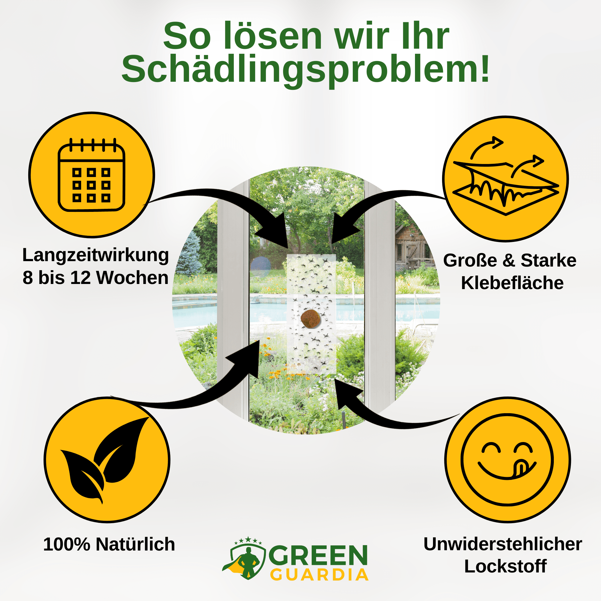 Fluginsekten Fenster - Falle mit Spezial - Lockstoff - Green Guardia - Ihr Experte für Schädlinge und Pflanzen