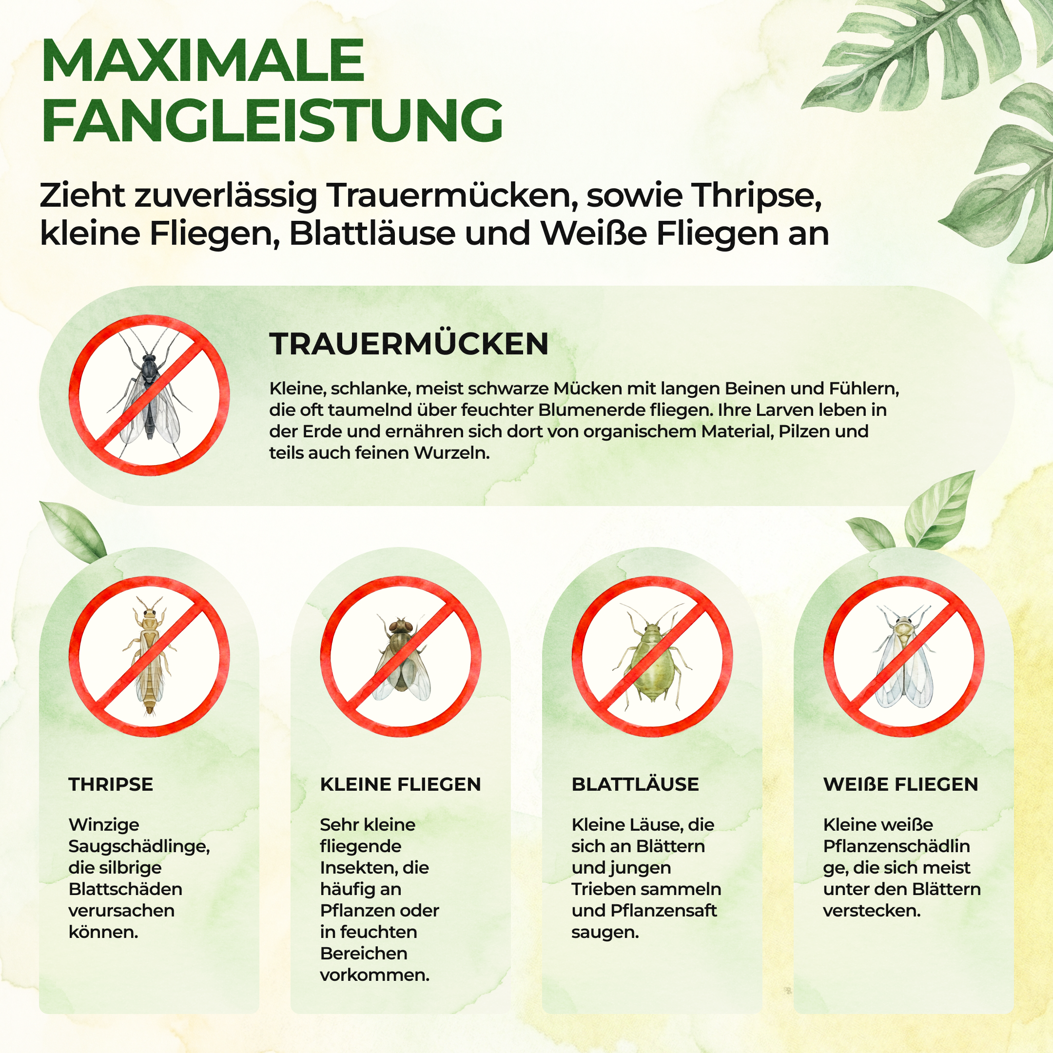 Gelbsticker (10x Stück inkl. Bambusstäbchen)