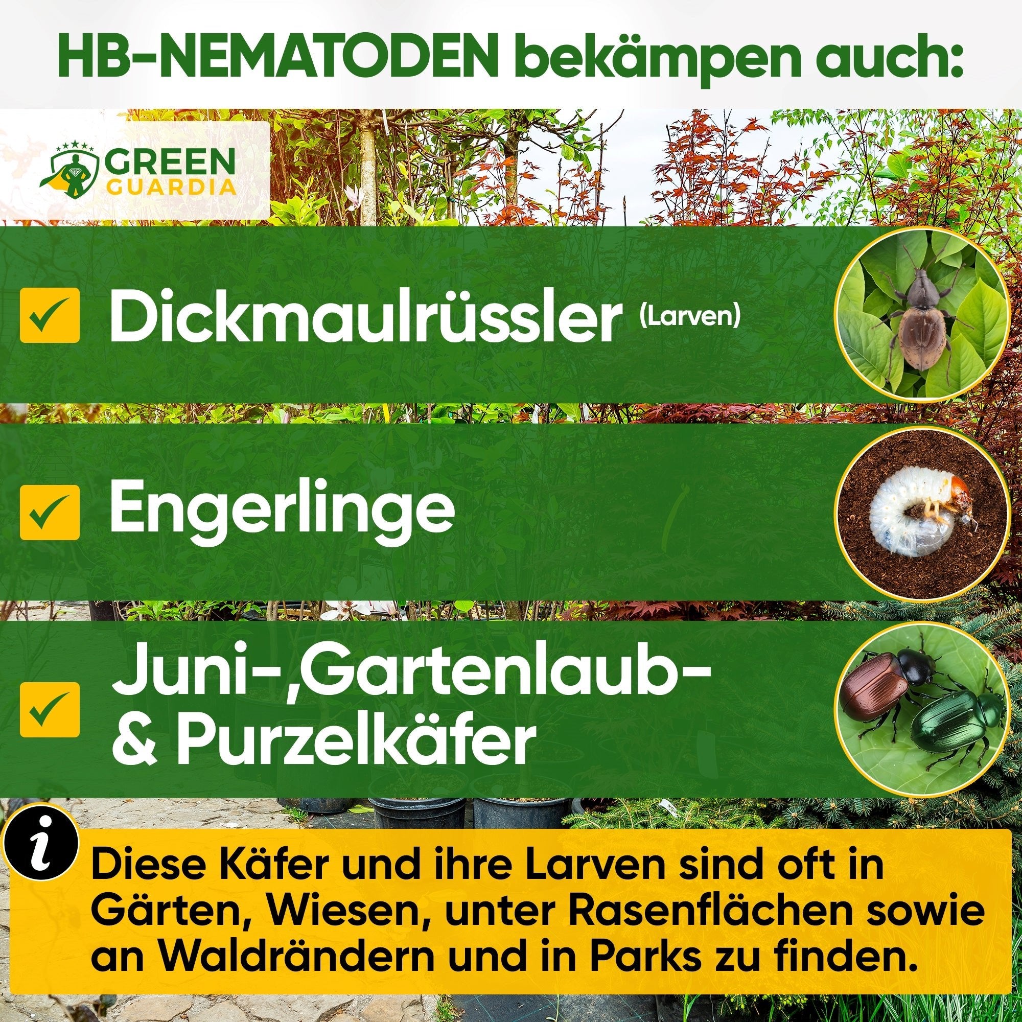 HB - Nematoden gegen Dickmaulrüssler & Engerlinge - Green Guardia - Ihr Experte für Schädlinge und Pflanzen