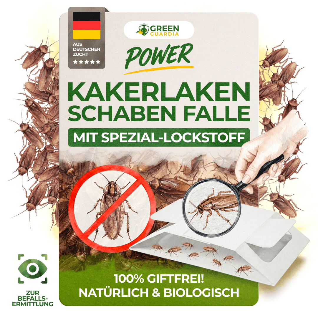 Kakerlaken / Schaben Falle - Green Guardia - Ihr Experte für Schädlinge und Pflanzen