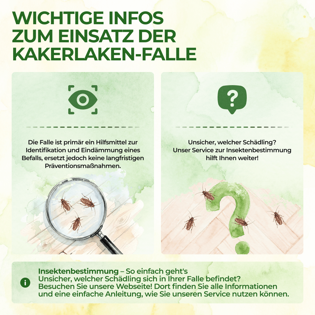 Kakerlaken / Schaben Falle - Green Guardia - Ihr Experte für Schädlinge und Pflanzen