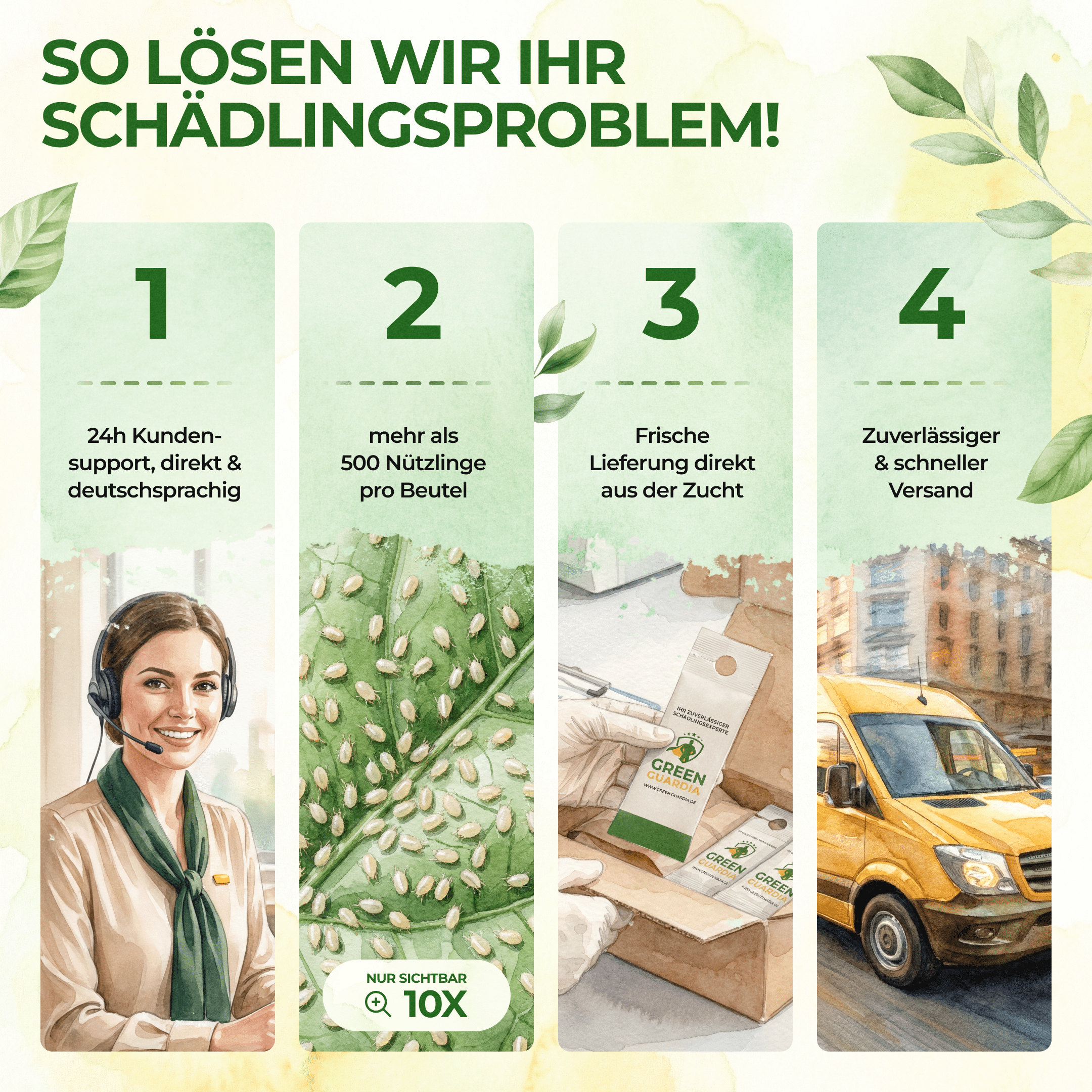 Raubmilben gegen Spinnmilben - Green Guardia - Ihr Experte für Schädlinge und Pflanzen