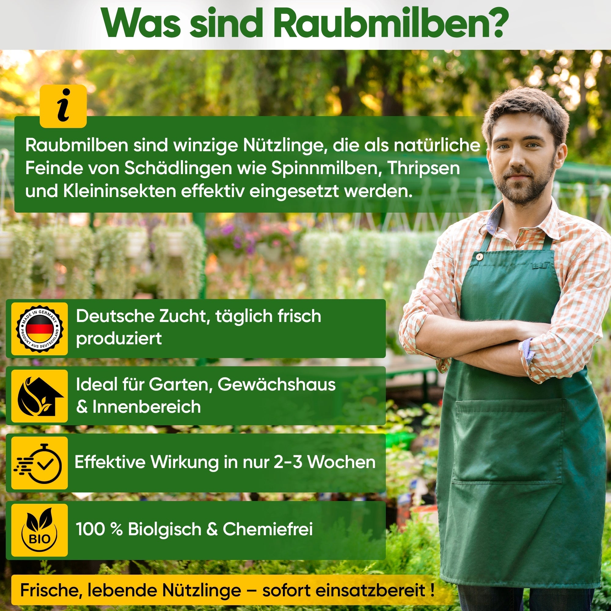 Raubmilben gegen Spinnmilben zum Aufhängen oder Streuen - Green Guardia - Ihr Experte für Schädlinge und Pflanzen