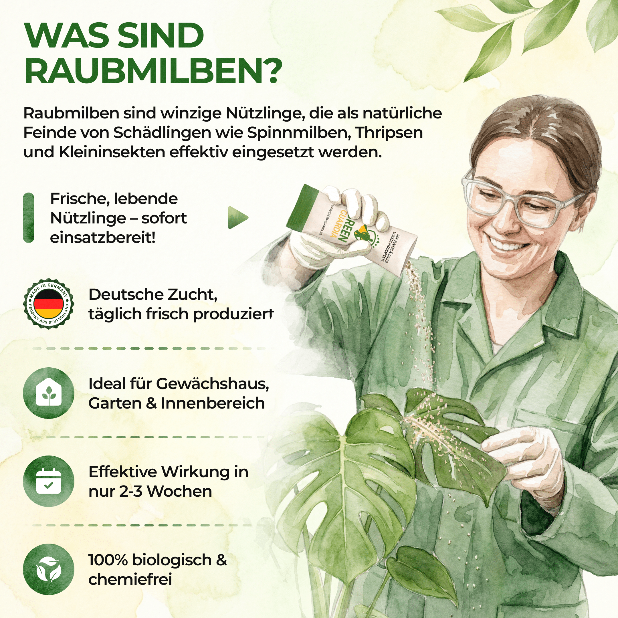 Raubmilben gegen Thripse - Green Guardia - Ihr Experte für Schädlinge und Pflanzen