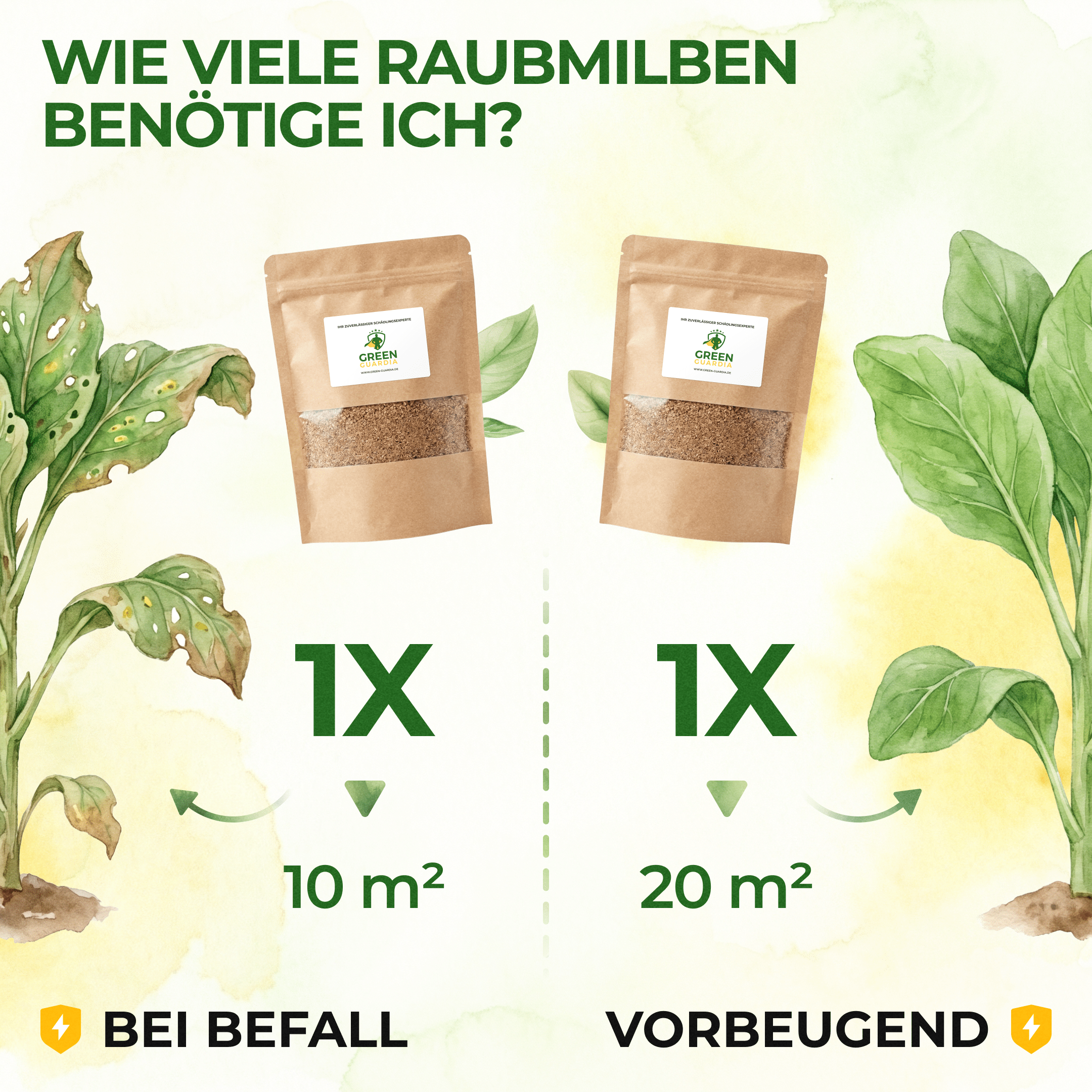 Raubmilben gegen Thripse - Green Guardia - Ihr Experte für Schädlinge und Pflanzen