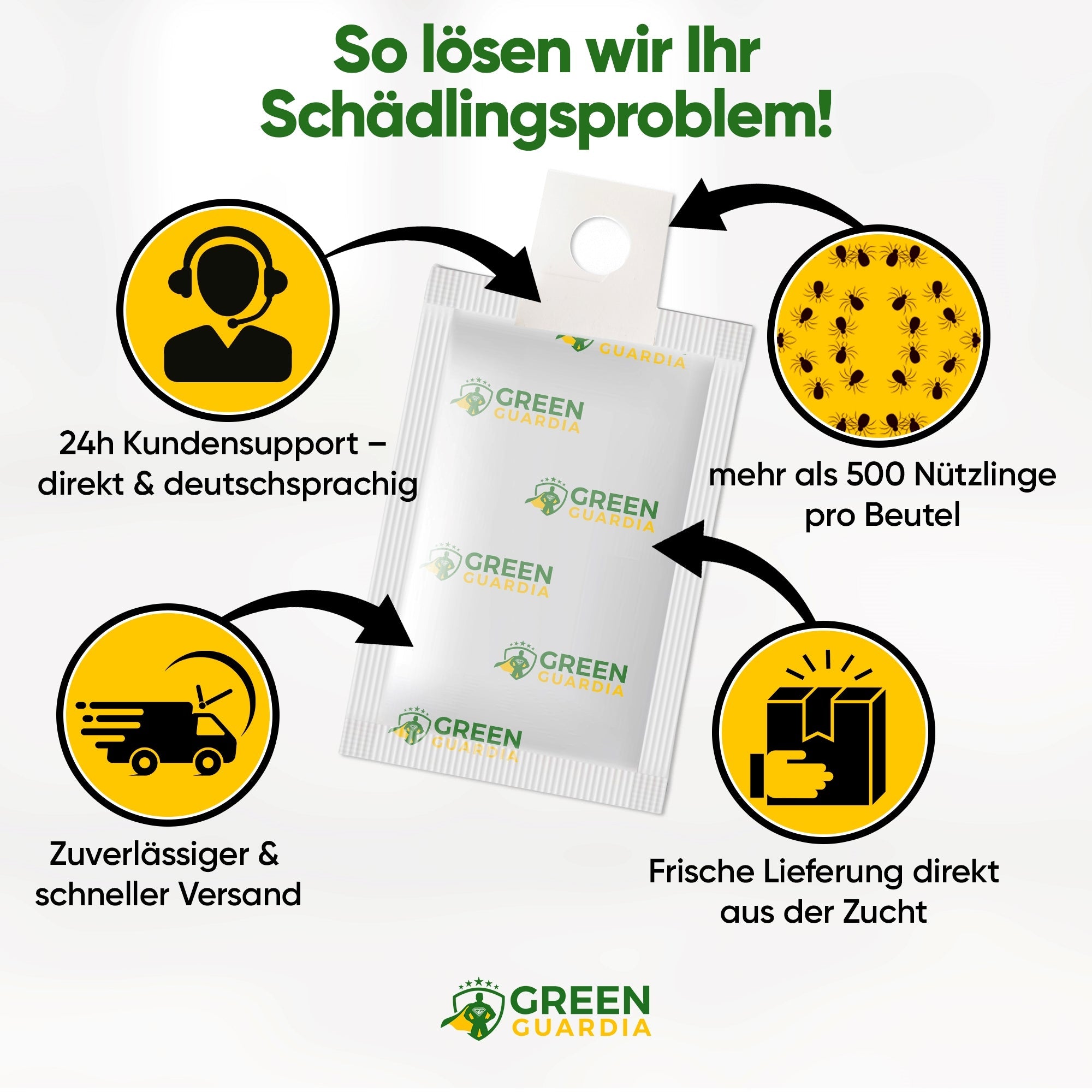 Raubmilben gegen Thripse zum Aufhängen oder Streuen - Green Guardia - Ihr Experte für Schädlinge und Pflanzen