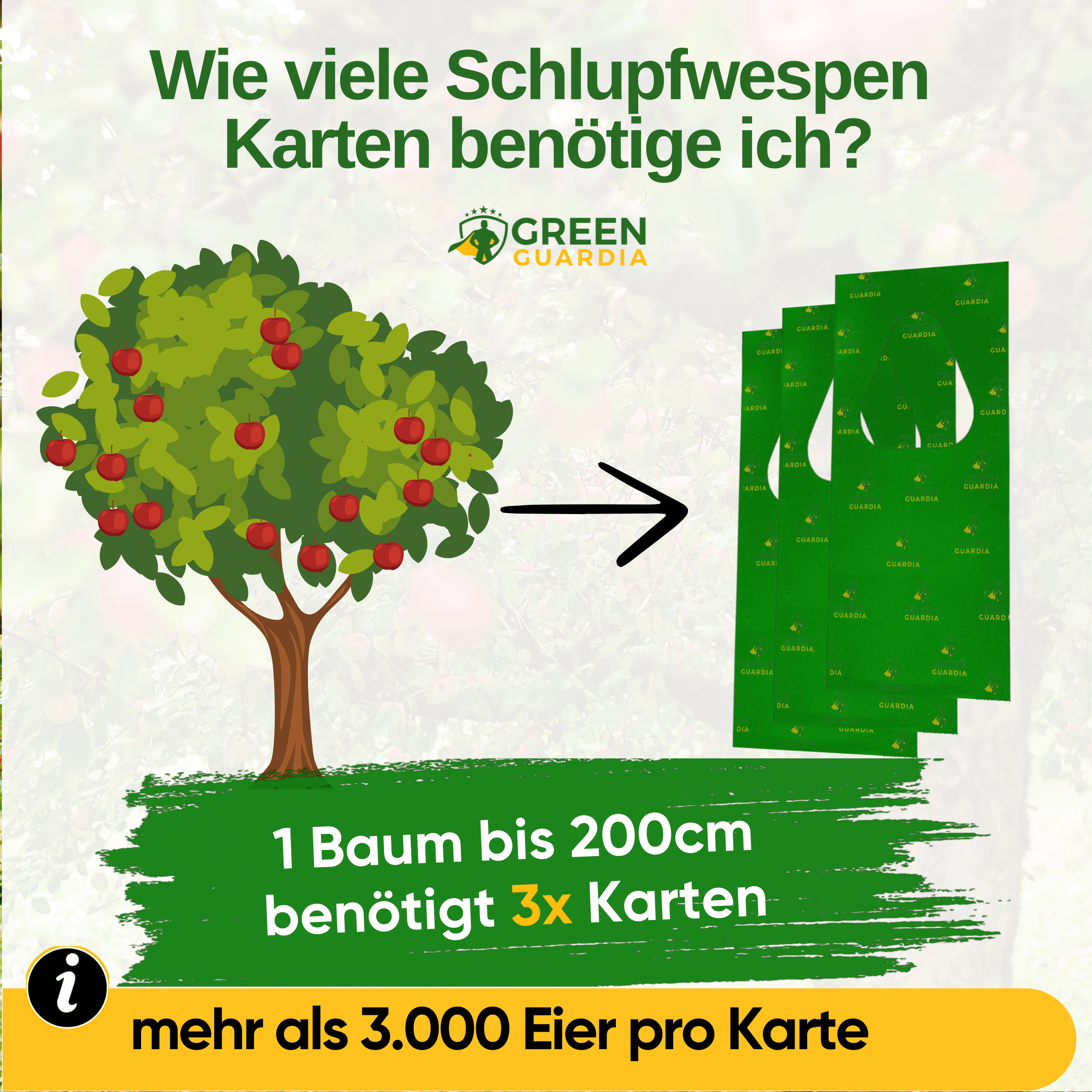 Schlupfwespen gegen Apfelwickler - Green Guardia - Ihr Experte für Schädlinge und Pflanzen