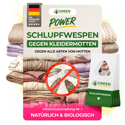 Parasitic wasps against clothes moths 
