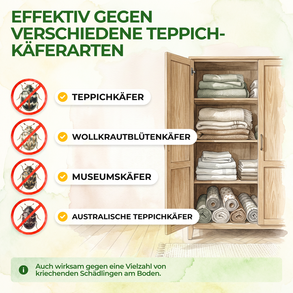 Carpet beetle trap